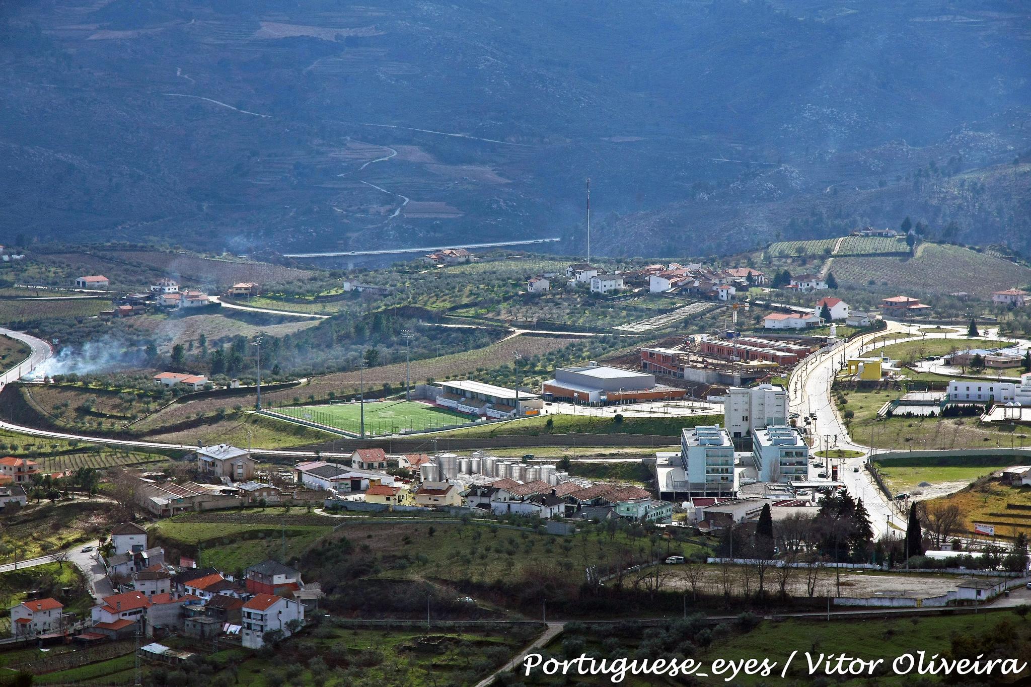 ポルトガルで火から離れて運転する年配のカップルは亡くなります