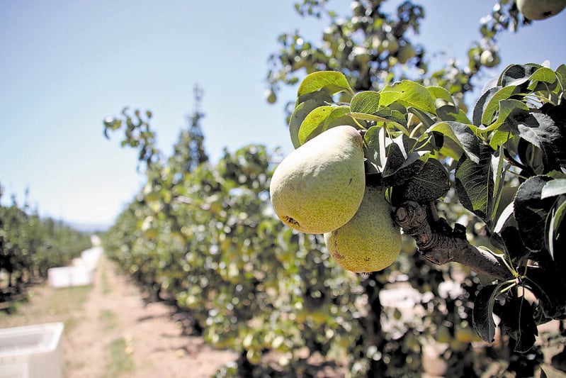 パステル・ド・ナタを越えて：まだレーダーの下にある9つの最高のポルトガル料理