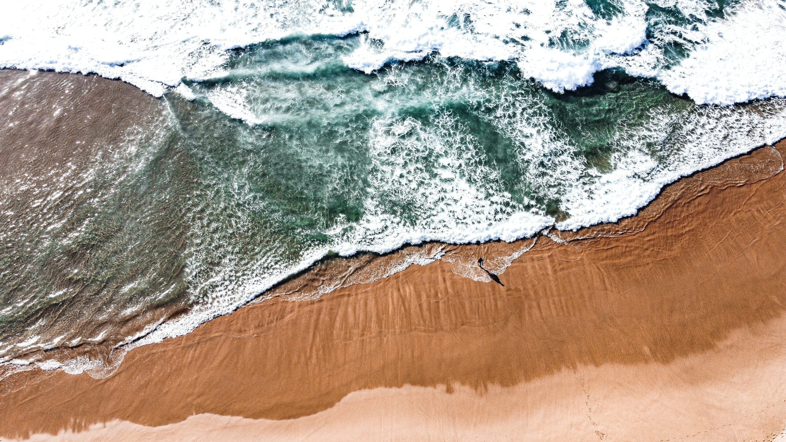 ポルトガルとカリフォルニアは、サーフィンと保全を通じて関係を強化します