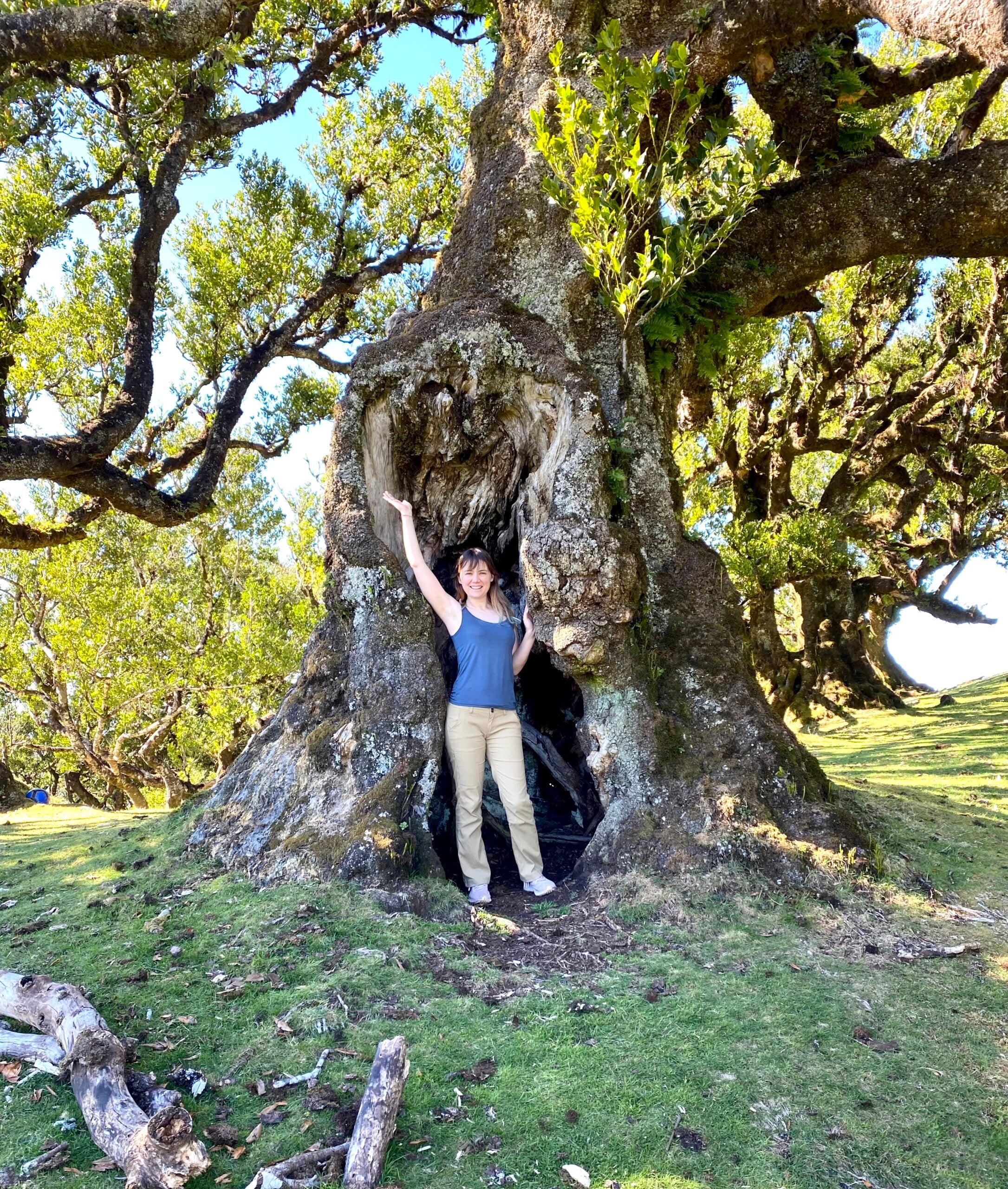 マデイラでの6つの信じられないほどのハイキング