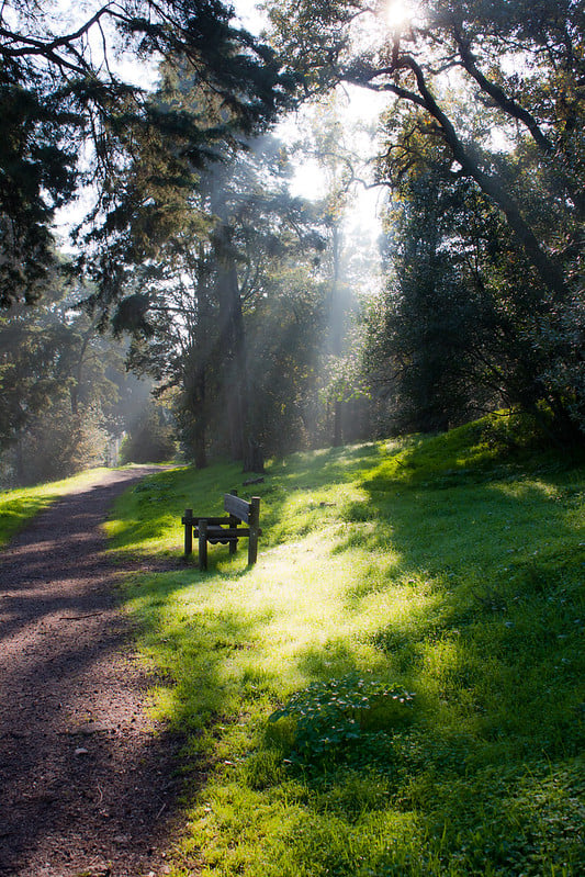 モンサント：リスボンの最大で奇妙な公園の魅力的な歴史