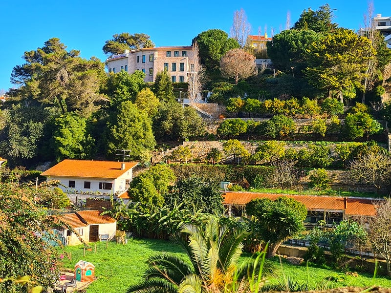 カスカイスでリベイラダスヴィンハストレイルを発見