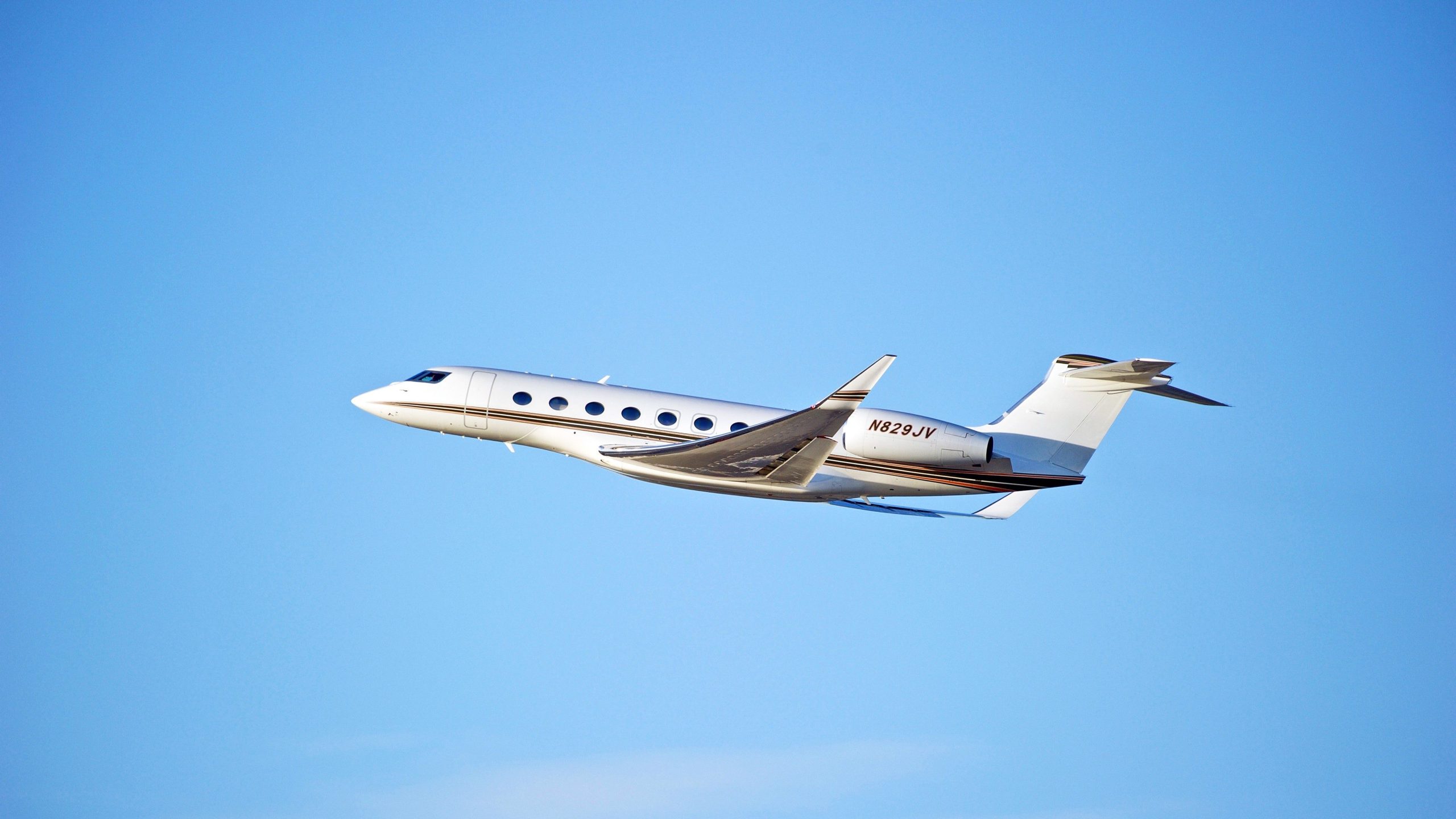 接地された航空会社GOは、最初に4番目の候補者から関心を集めています