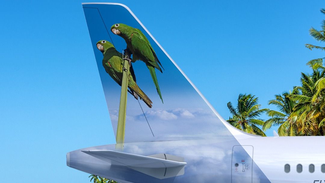 フロンティア航空が新しいエアバスA321neoのカラーリングに2つのインコを持っている理由