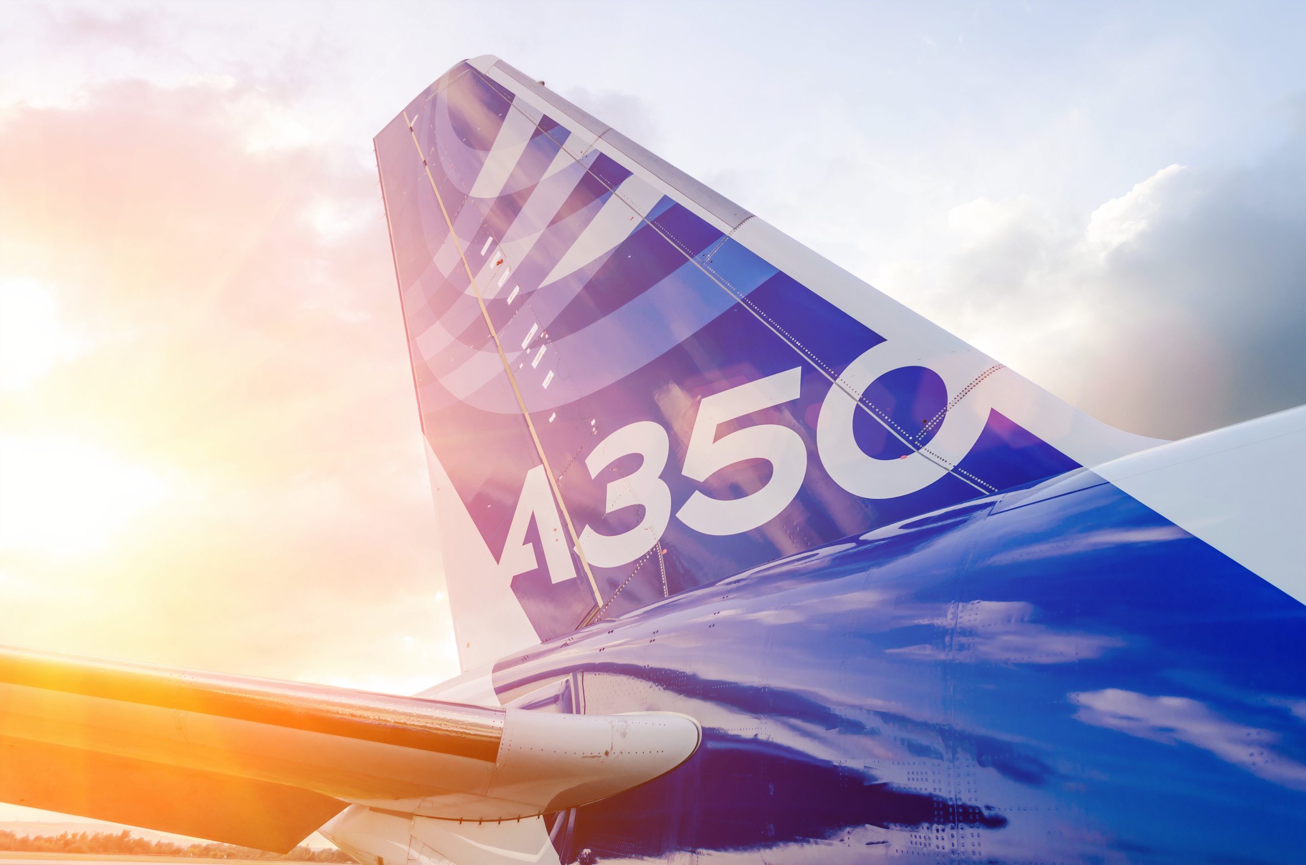 ワイドボディラグジュアリー：エアバスコーポレートジェット350ジャンボジェットを見る