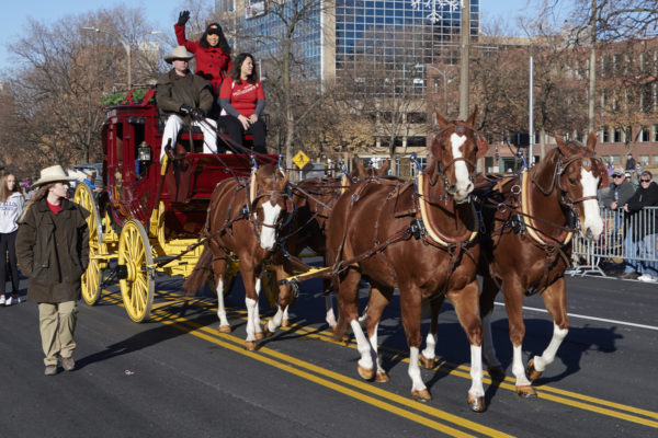 大きなパレード、小さな都市：主要都市以外のトップ5の感謝祭パレード