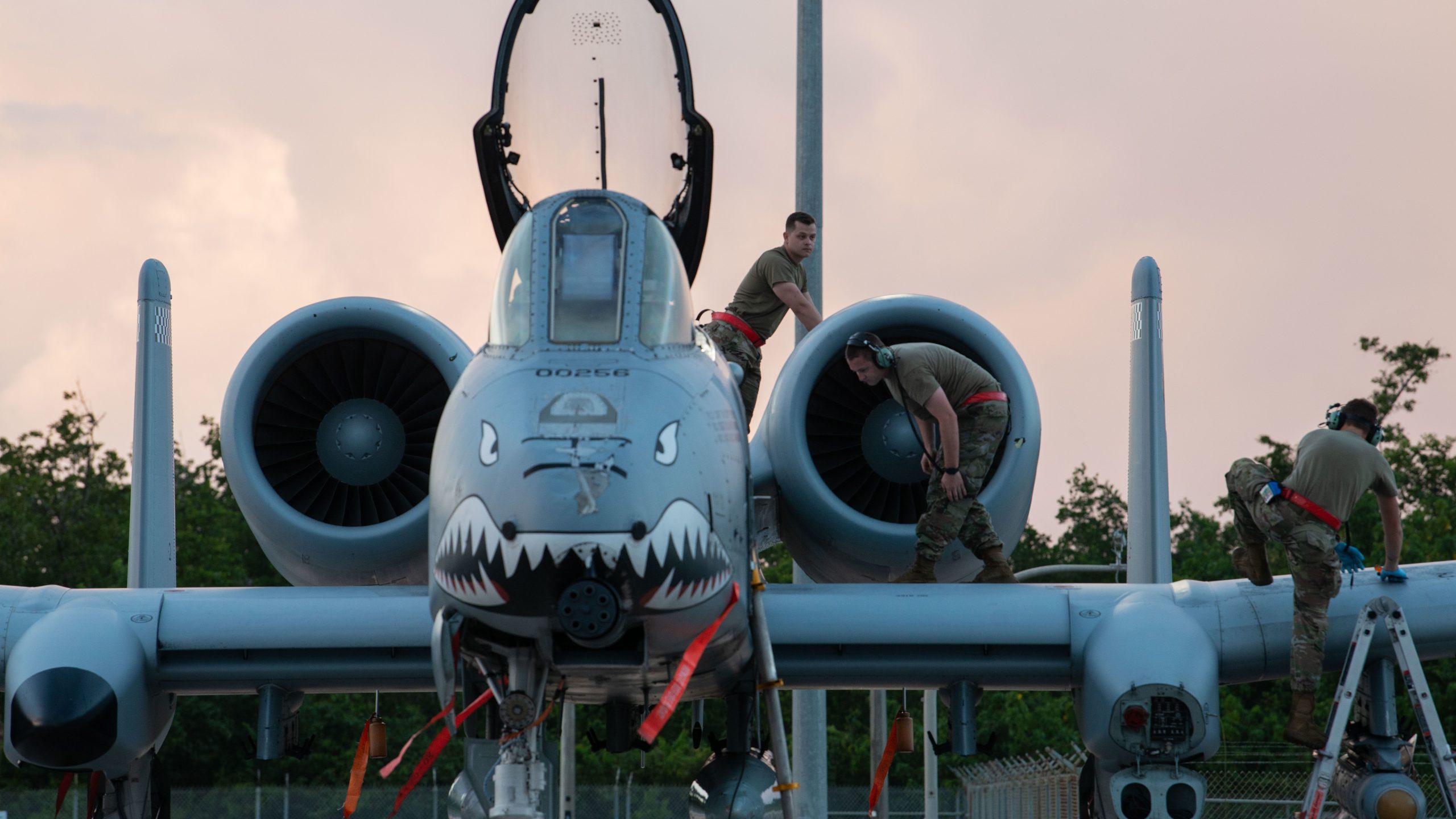 調べた：A-10ワルトグの武器システム