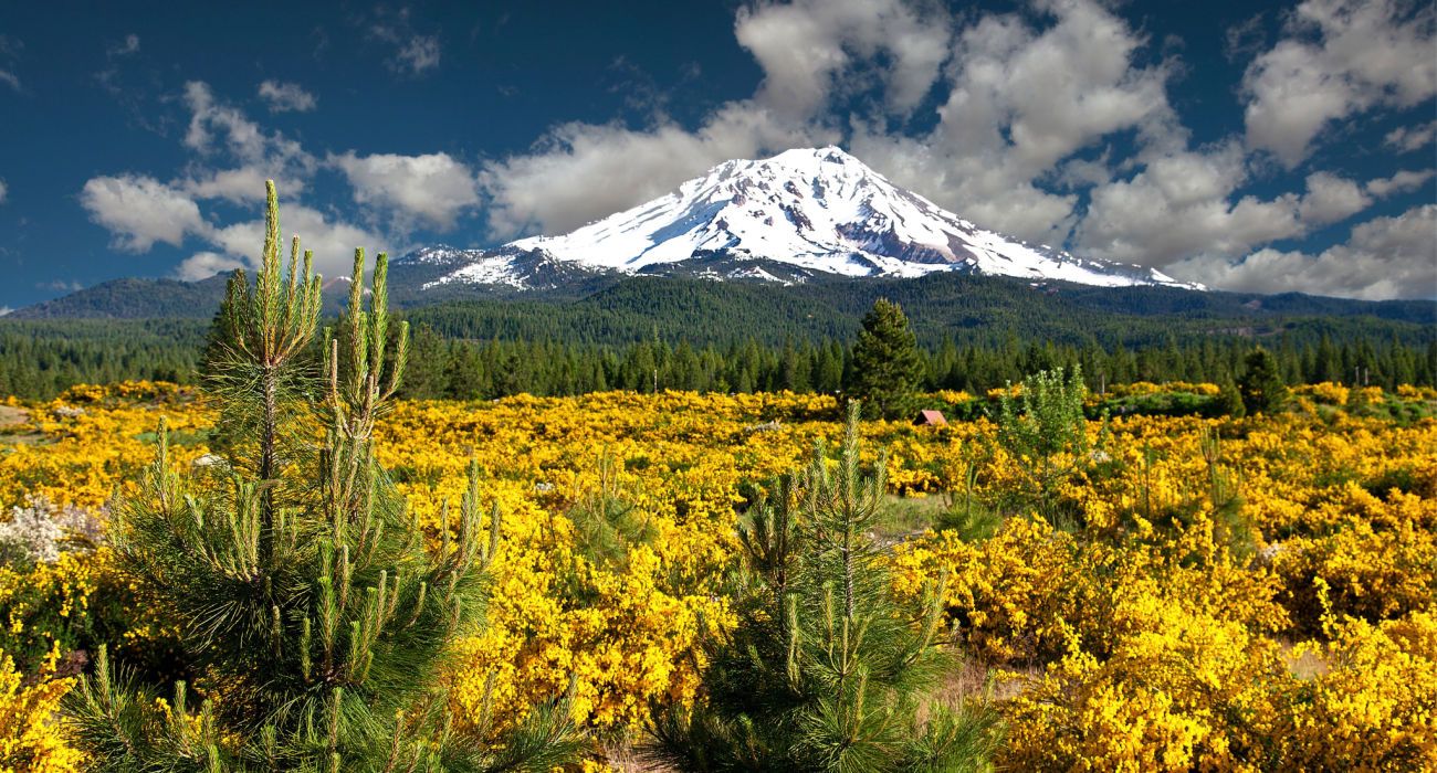 カリフォルニアでハイキングするのに最も難しい14人