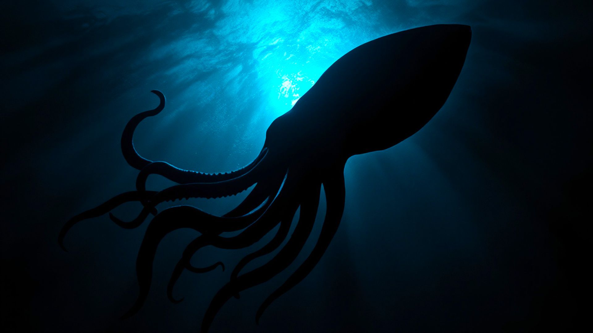 大西洋で初めて撮影されたばかりの巨大なイカはちょうど赤ちゃんだけでした