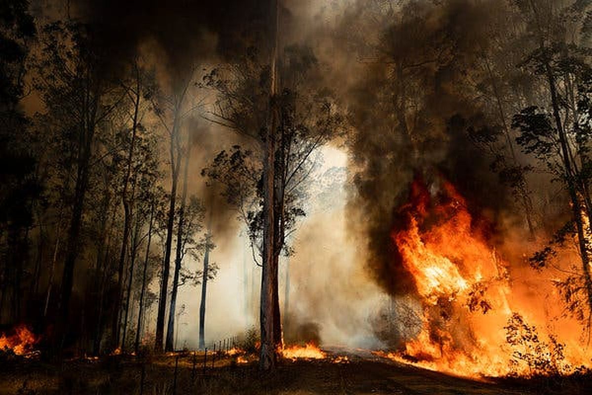 ヒートの記録を破った後、カナダの町が地面に燃えました