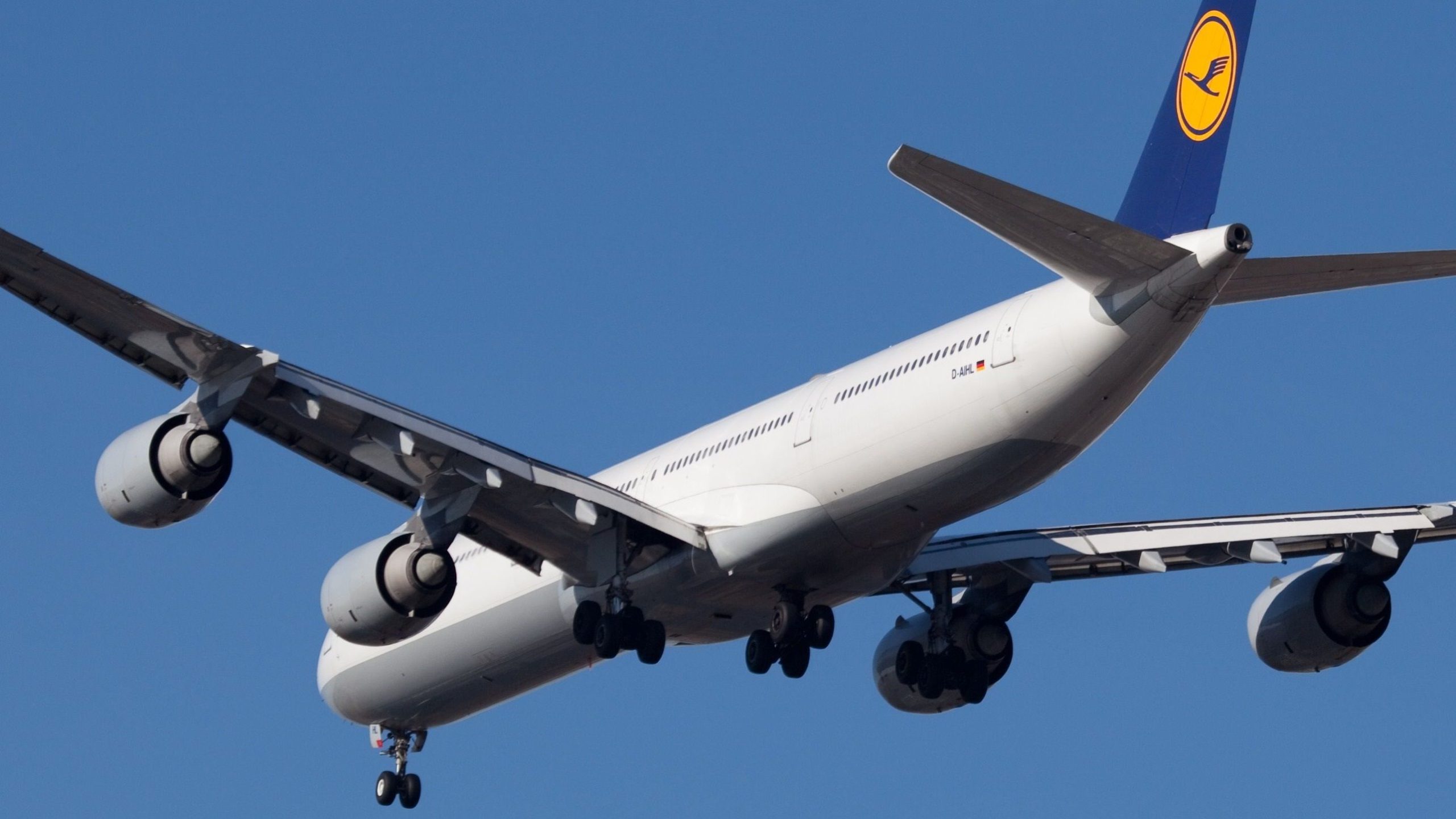 13の米国ルートルフタンサは、この夏にエアバスA340を飛行します