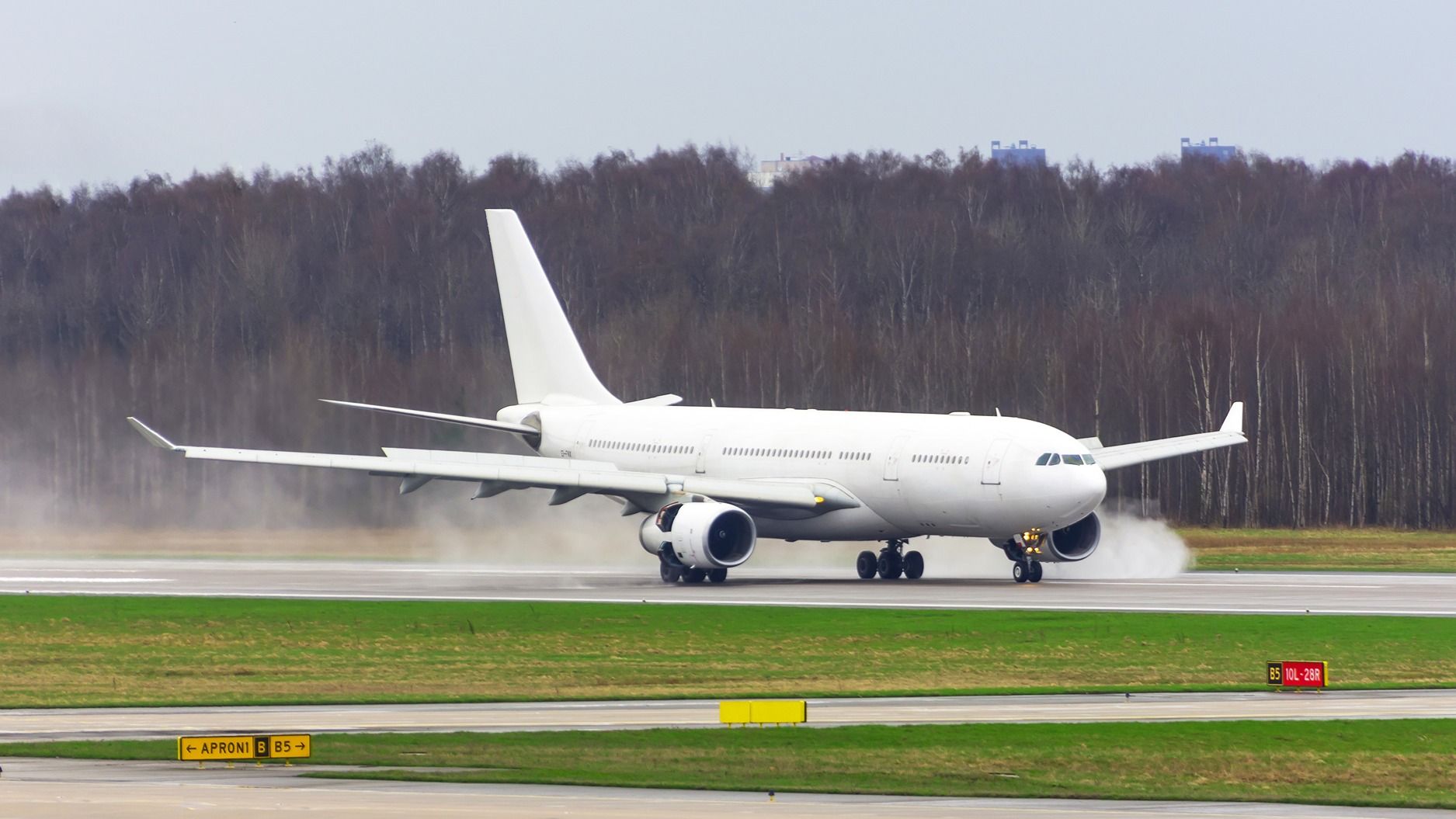 ビーガンに優しい航空会社？不幸なフライヤーは、12時間のフライトで悲しいサンドイッチを共有します