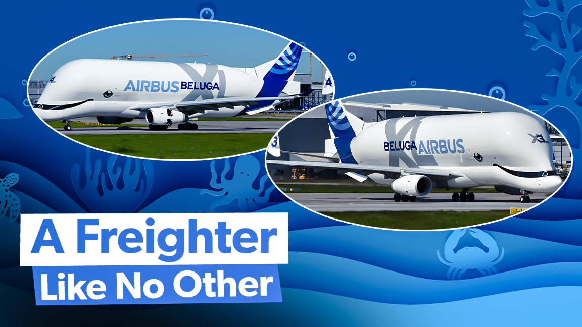 分析：Airbus Belugaxlを印象的な貨物船にする事実と数字