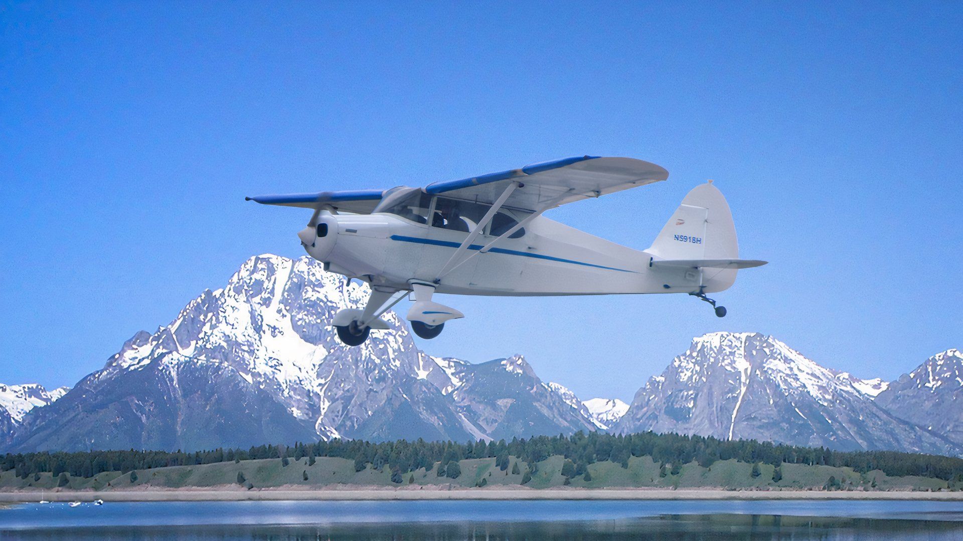 並んでいるカブ？パイパーPA-16クリッパーを見てください