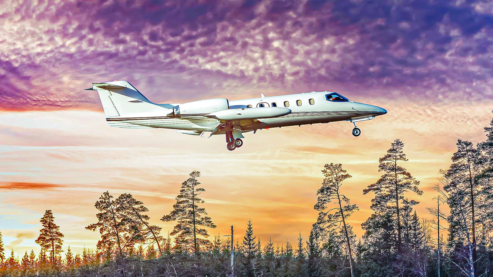 2000年のF1ドライバーのDavidCoulthardの飛行機crash落の話