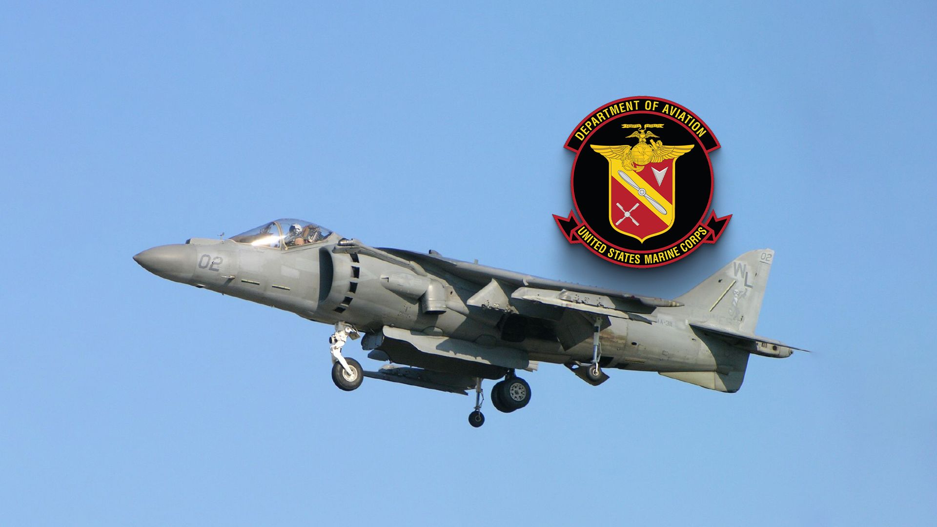 ペットと一緒に飛ぶ：動物と一緒にプライベートジェット旅行について知っておくべきこと