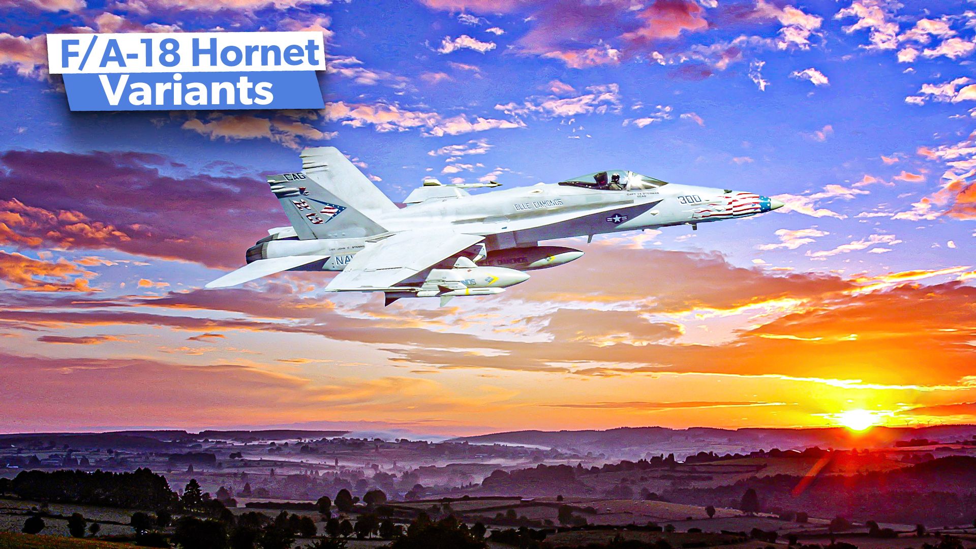 米海軍F/A-18ホーネットの陸上バリエーションと運用の詳細