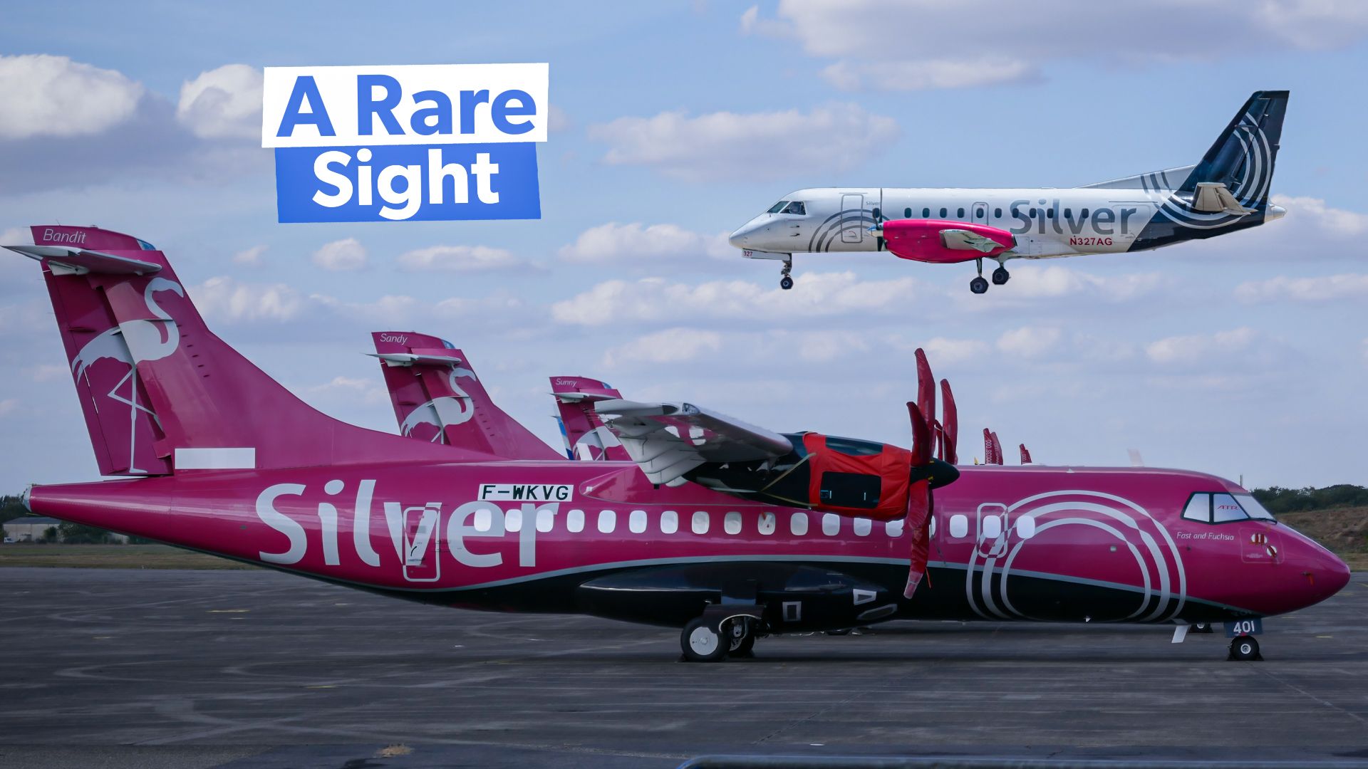 電子攻撃戦隊（VAQ）130：米国海軍「ザッパー」について知っておくべきこと