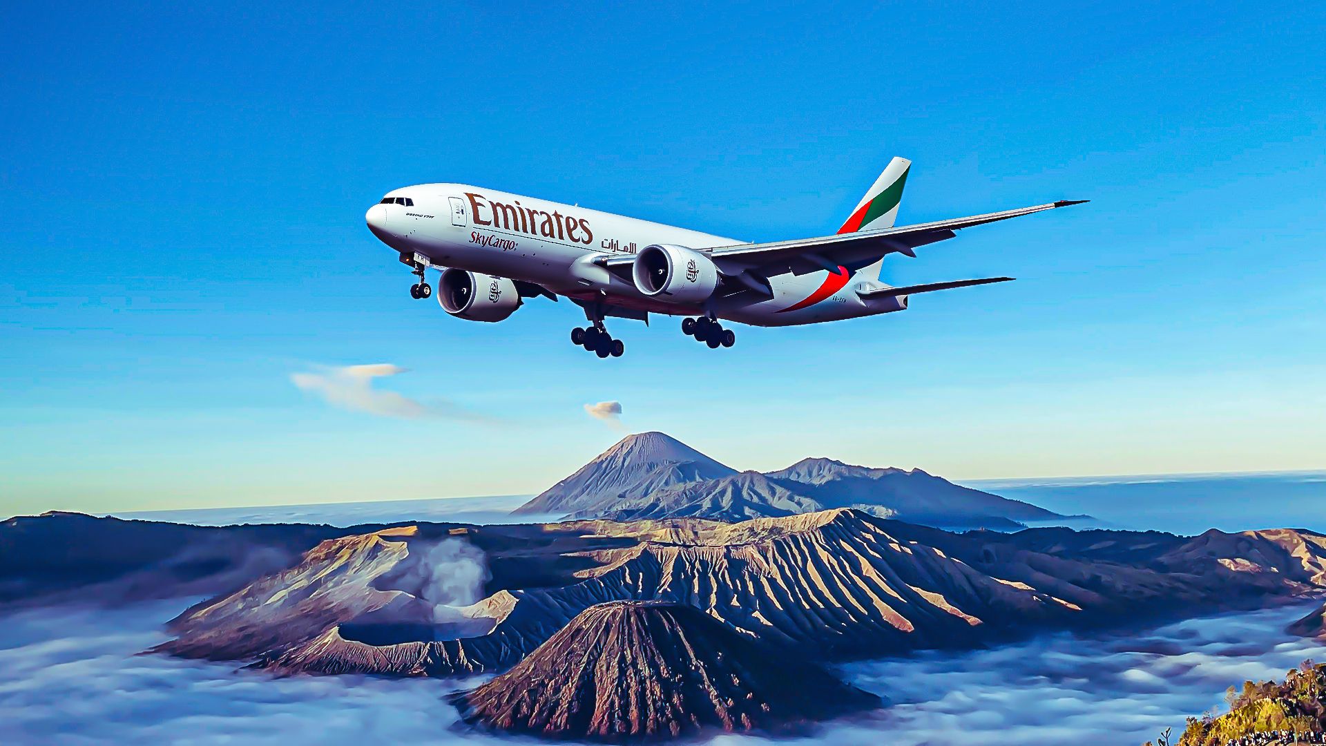 世界の貨物運用：エミレーツスカイカルゴを詳しく見る