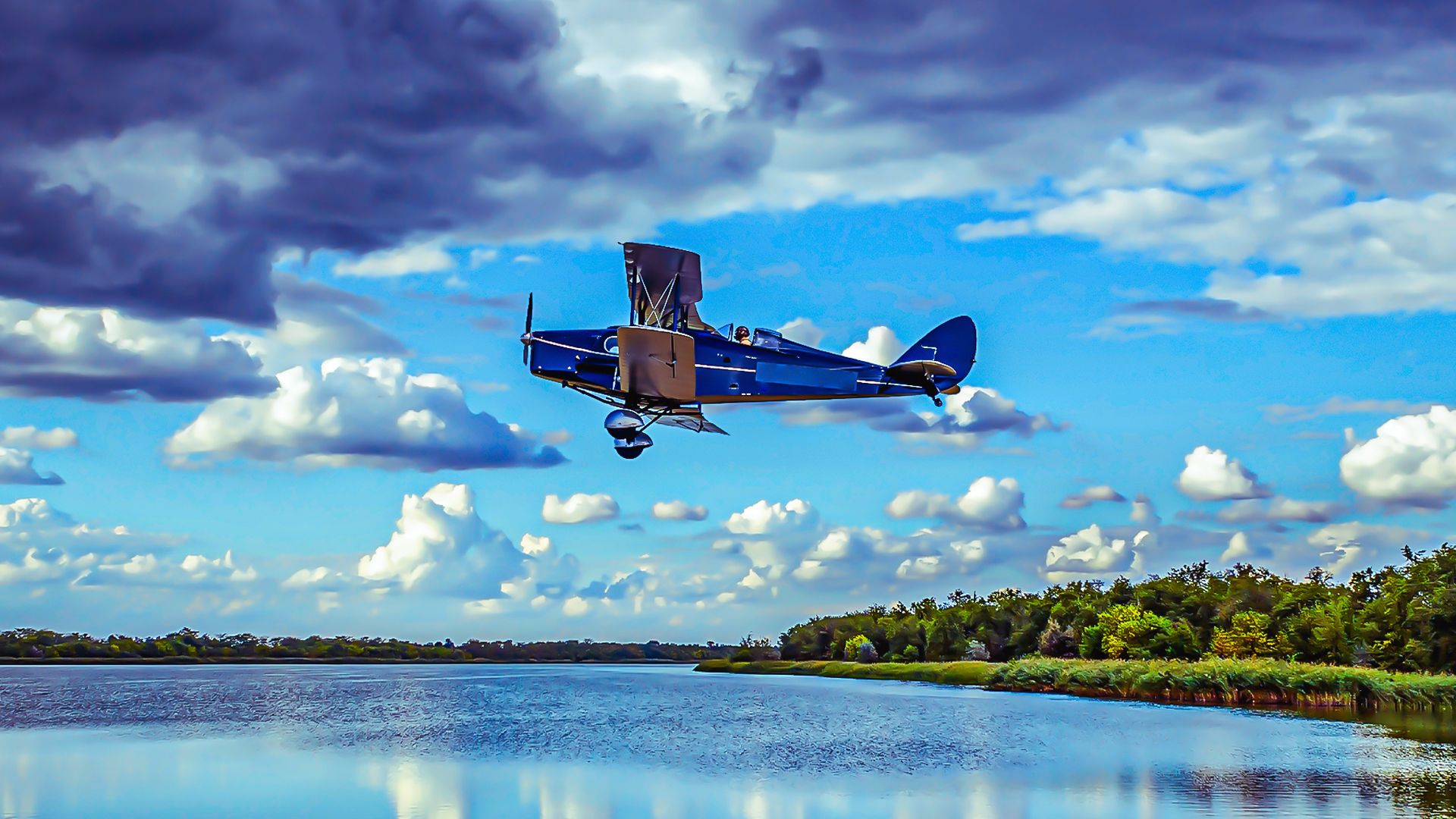 De Havilland Fox Mothを詳しく見ています