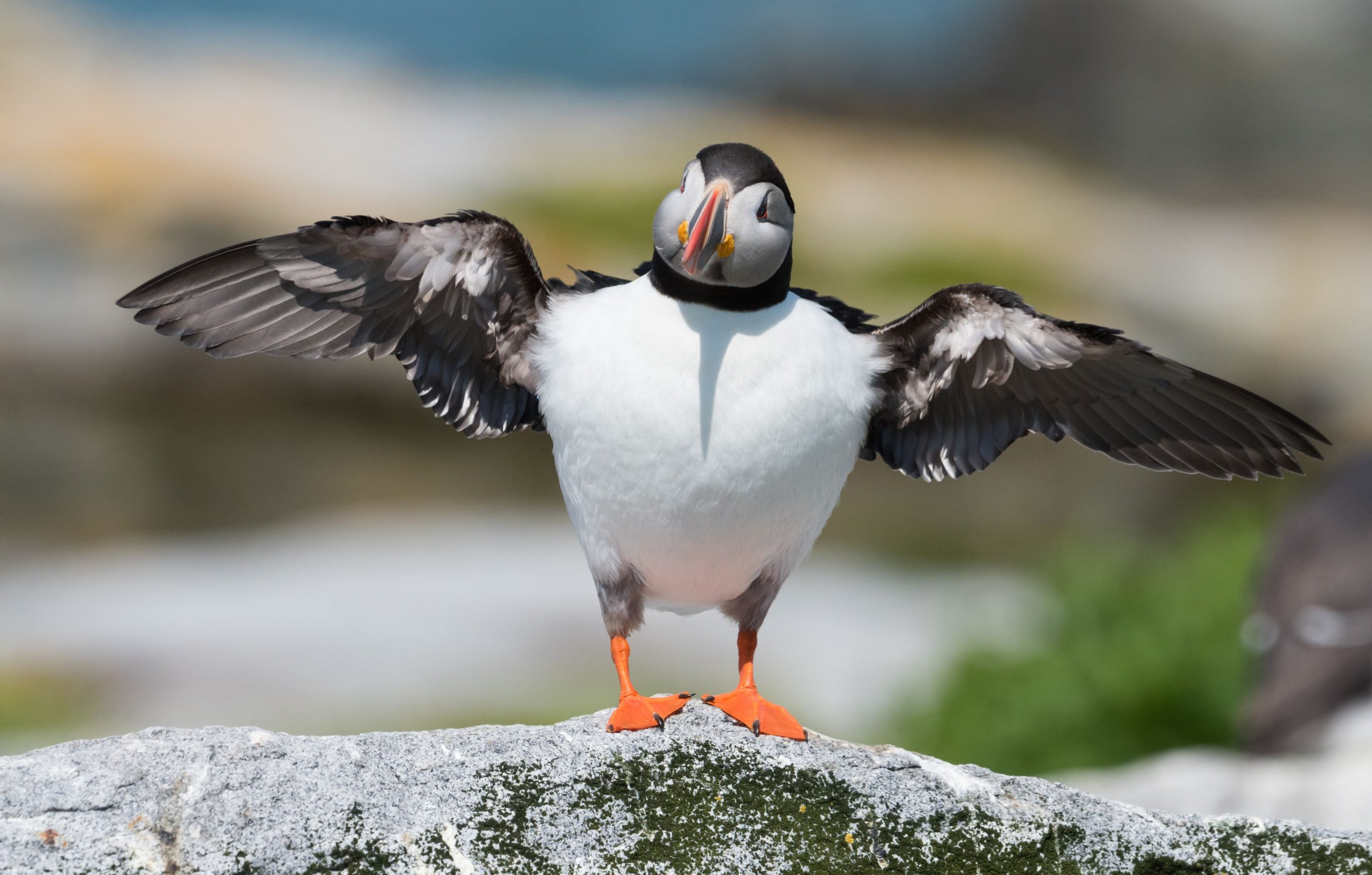 カナダと米国は、マキアスシール島の所有権を戦います。