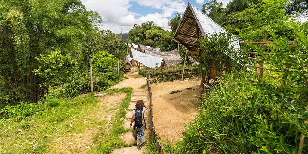 インドネシアのスラウェシでの冒険、野生生物、文化