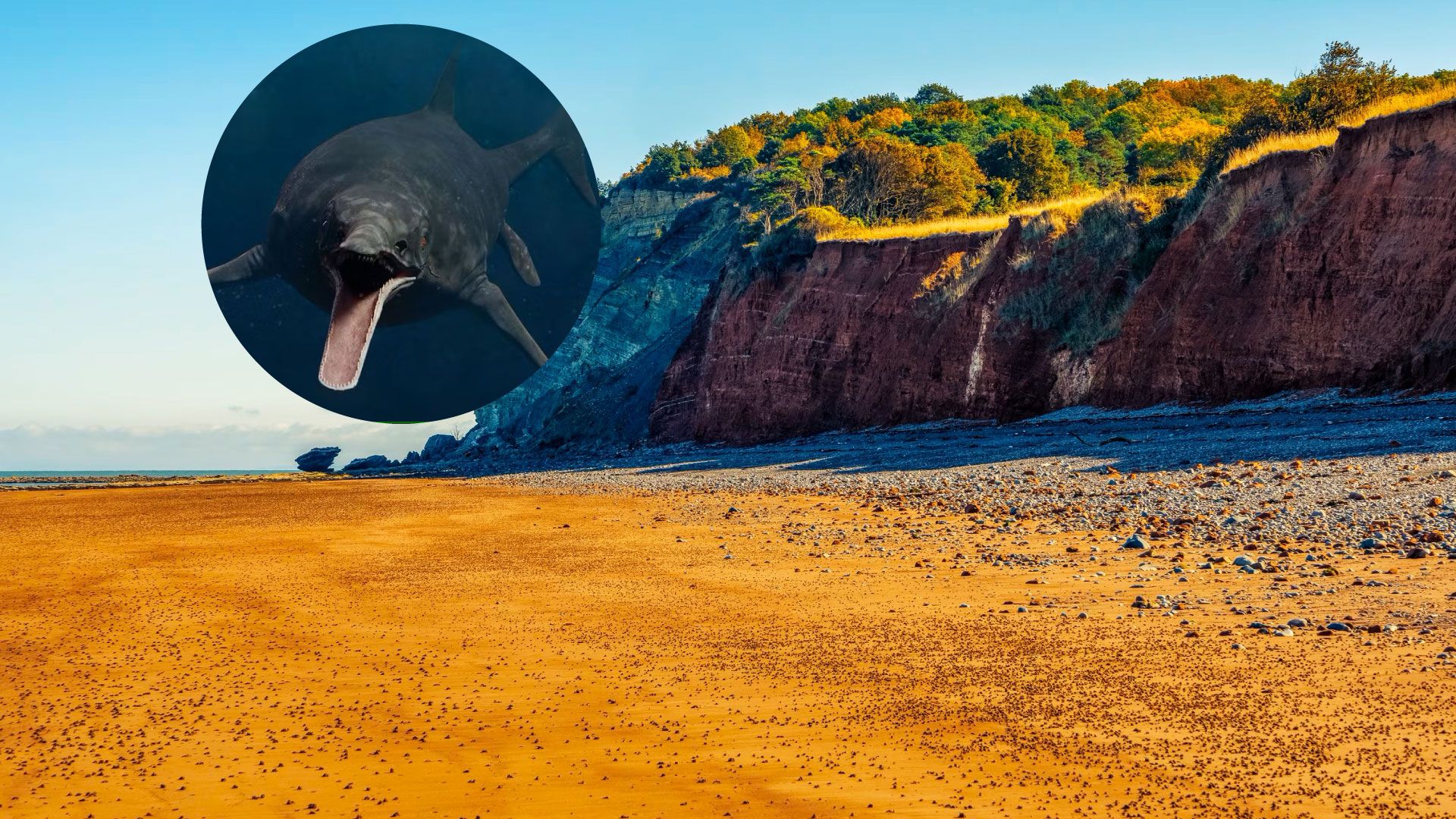 これまでで最大の海洋爬虫類は、11歳の子供によって誤って発見されました