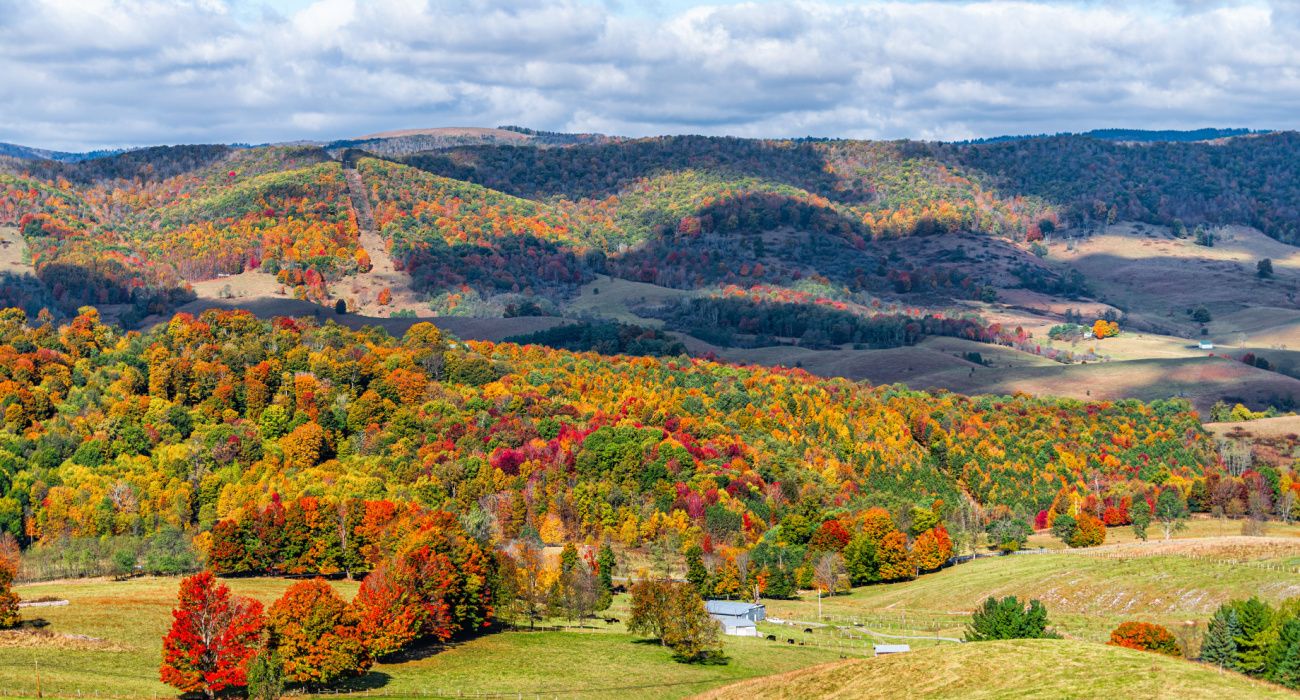 バージニアの最新の鉄道トレイルについてこれまでにすべてが確認されました