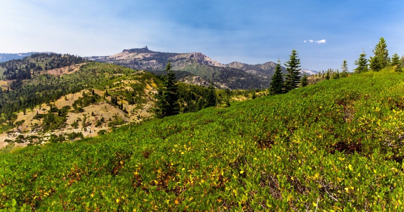 北カリフォルニアでの10バケットリストのハイキング、AllTrailsの評価でランク付けされています