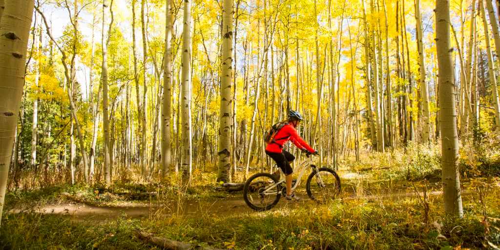 米国でマウンテンバイクに最適な4つの場所