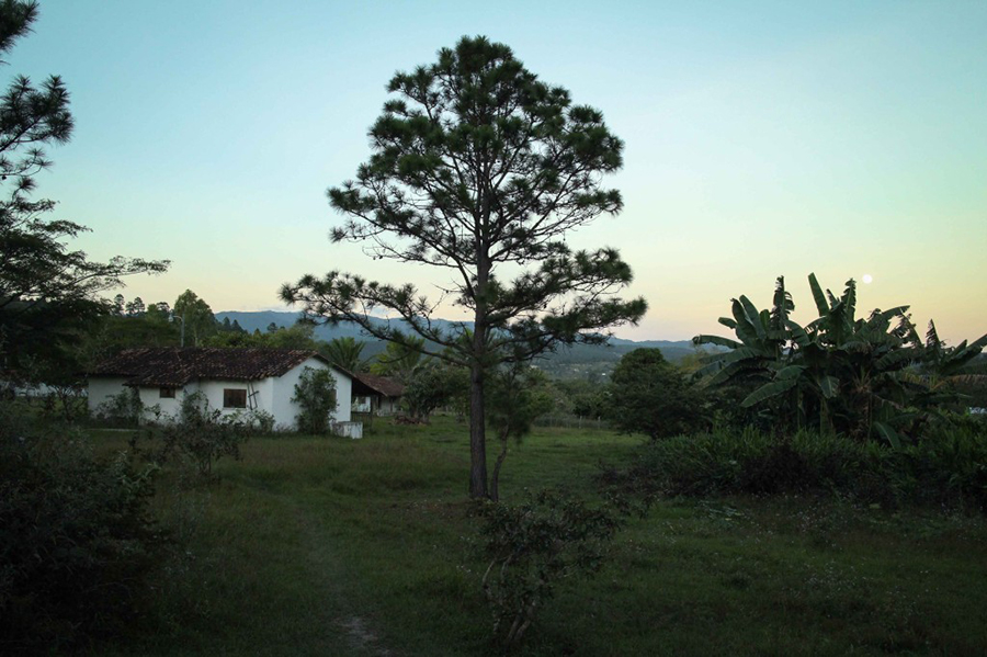 ザンブラノ：ホンジュラスの隠された宝石