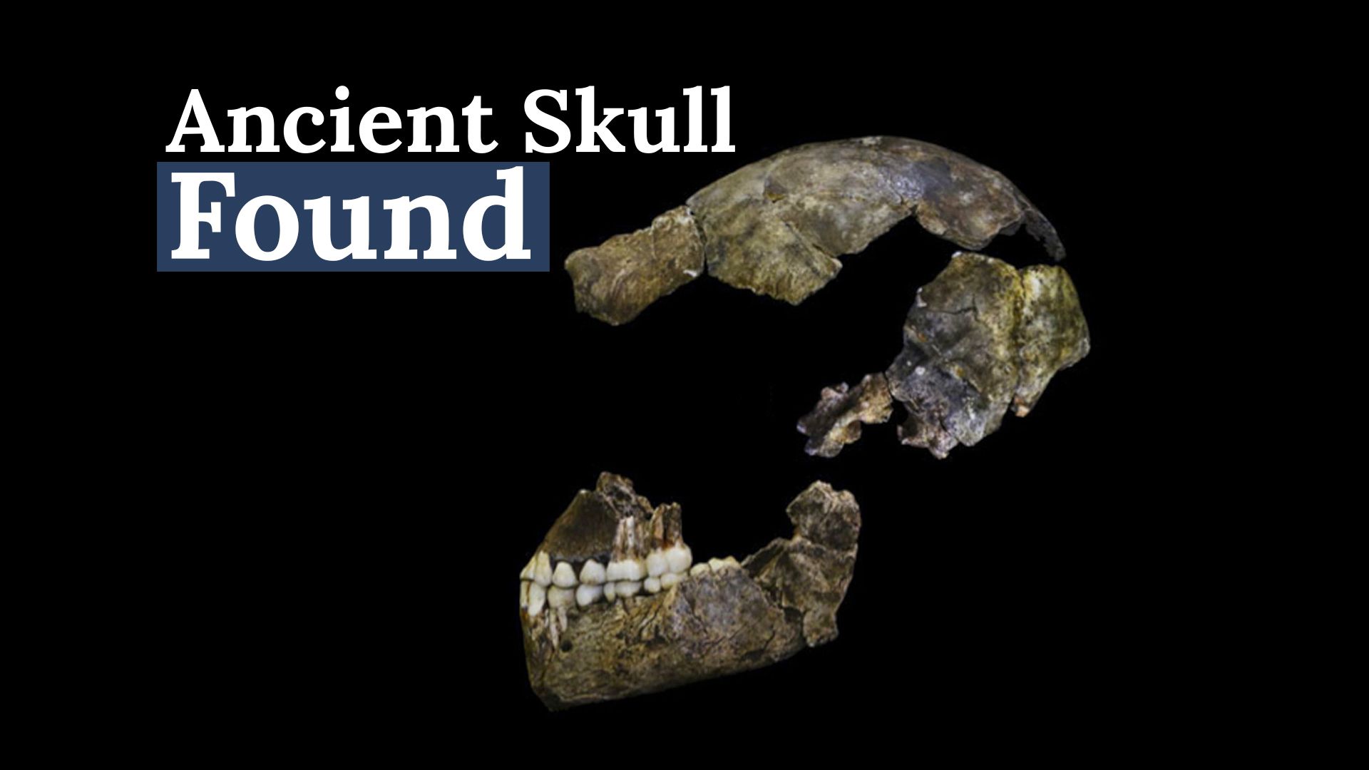 巨大な洞窟システムで見つかった子供の頭蓋骨は、人間の絶滅した種からのものです