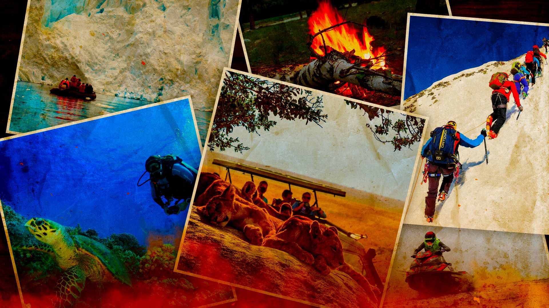 物議を醸す「最後のチャンス」観光は、議論を引き起こす最新の旅行トレンドです