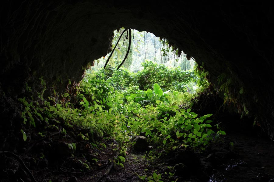ジャマイカのコーンウォールバラックスでの予定外の冒険