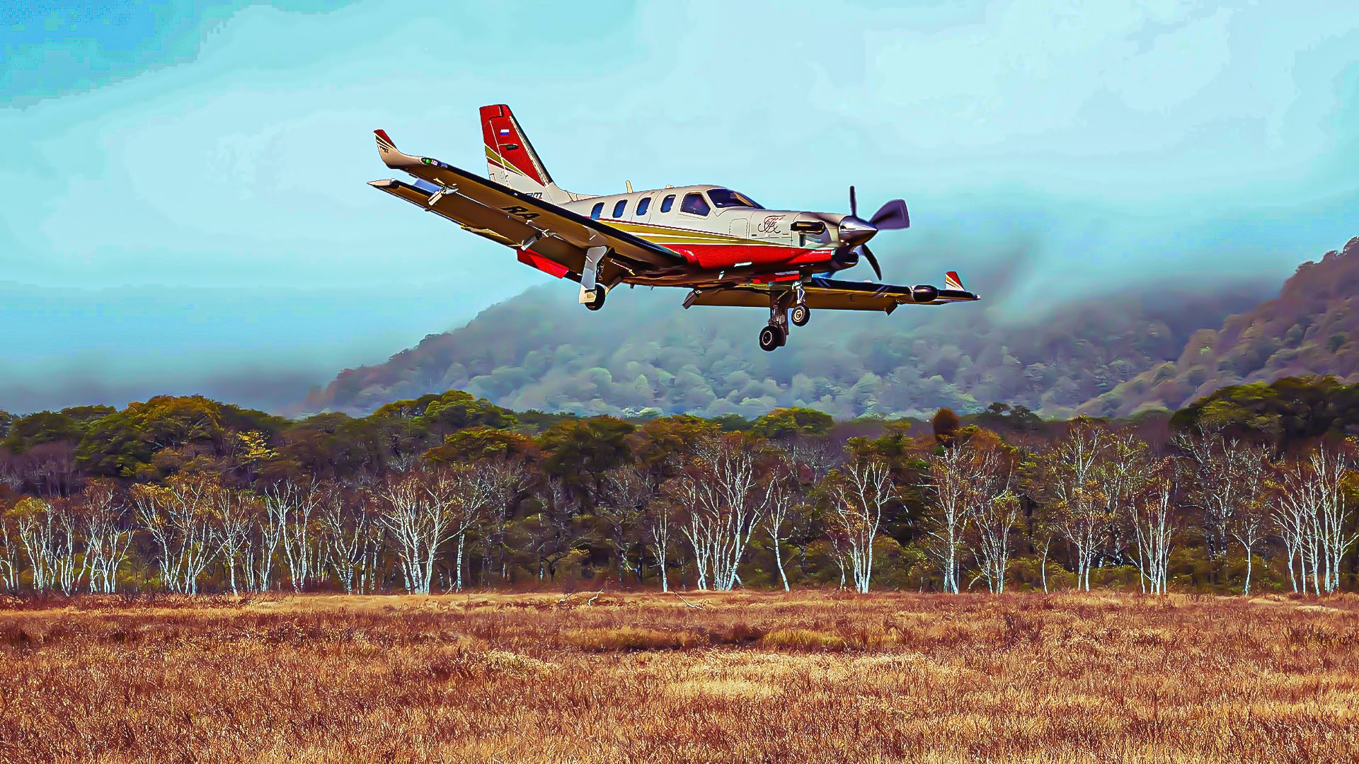 Daher TBM 900シリーズの5つの航空機