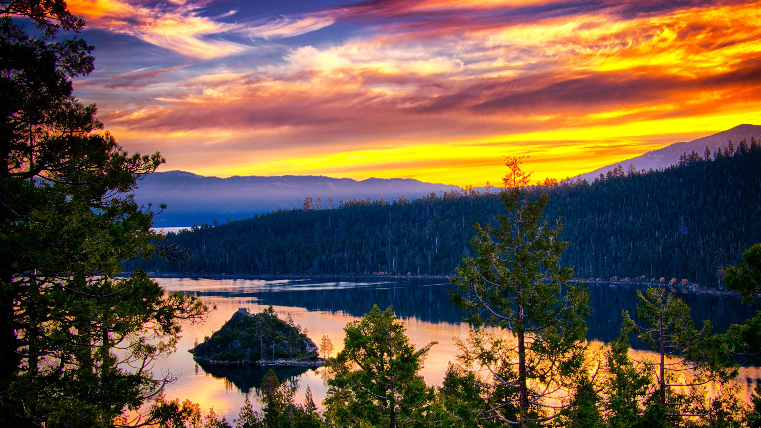 スキューバダイバーが数十年前から2012年に神秘的なケーブルを見つけた後、タホ湖の環境上の懸念はついに解決されました