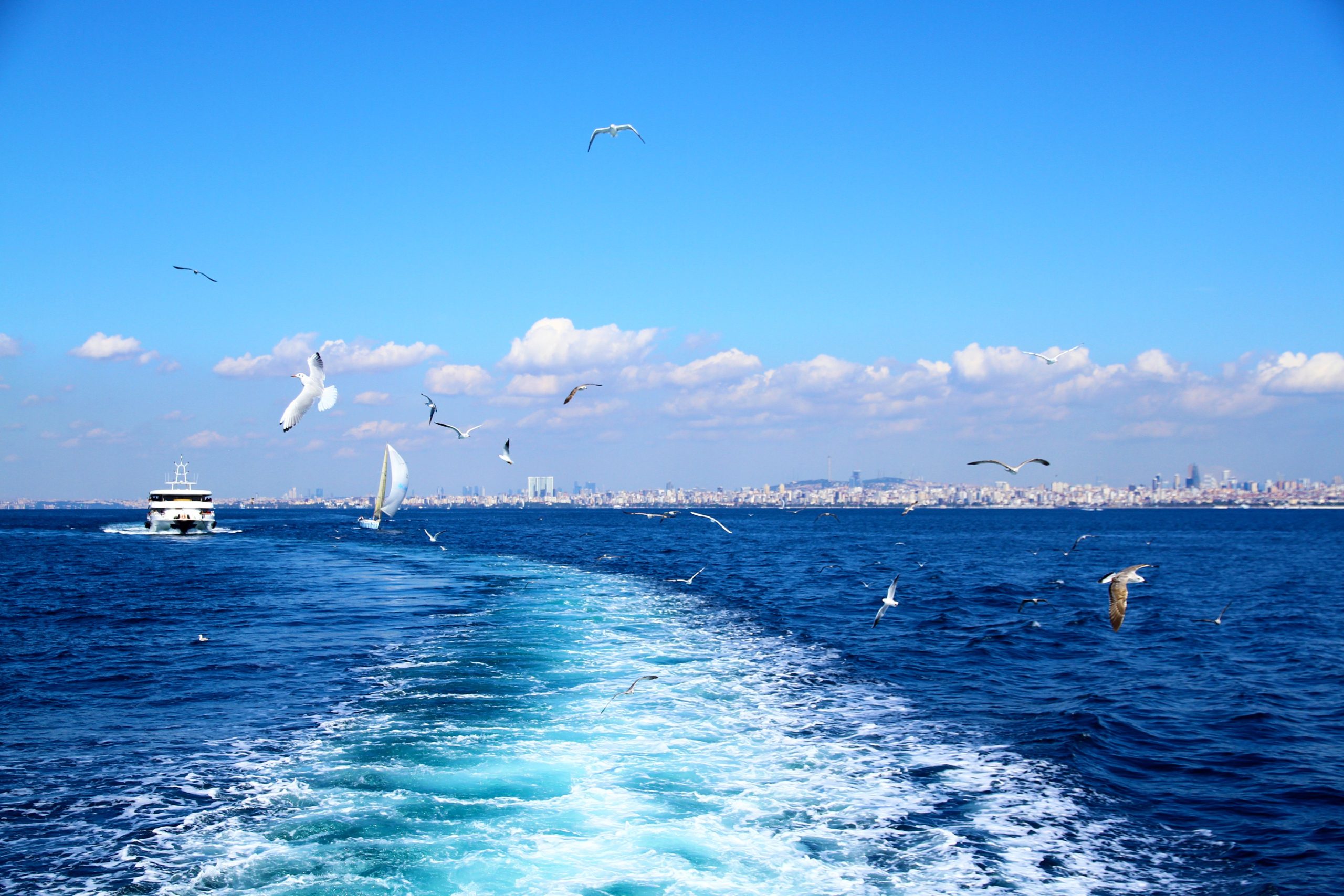 7か所は古代の海の怪物の家であると噂されています