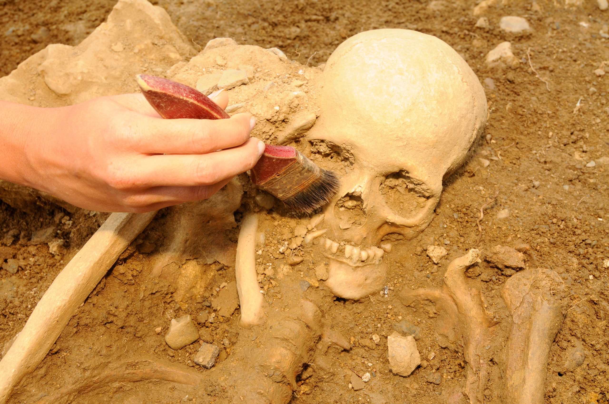 中世の骨格は、障害者のためのスウェーデンのヘルスケアに光を当てています