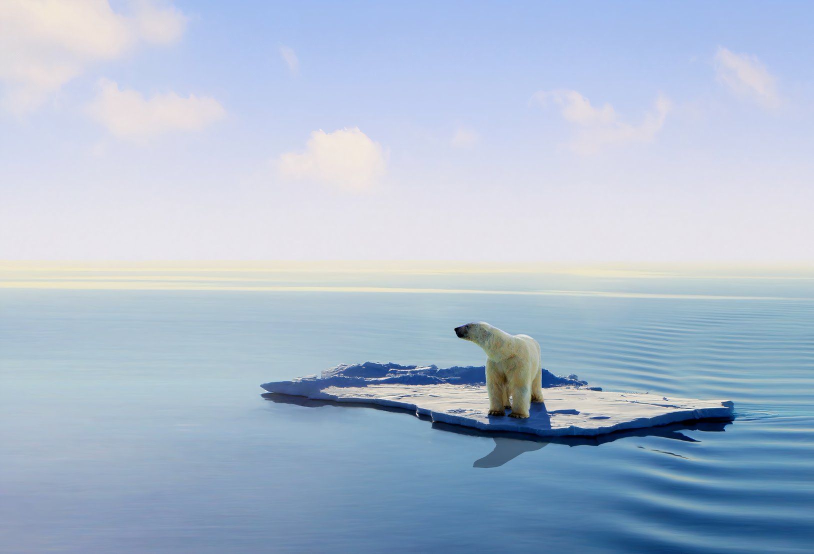 この米国は速く溶けています、そしてあなたは文字通りそれが起こっているのを見ることができます