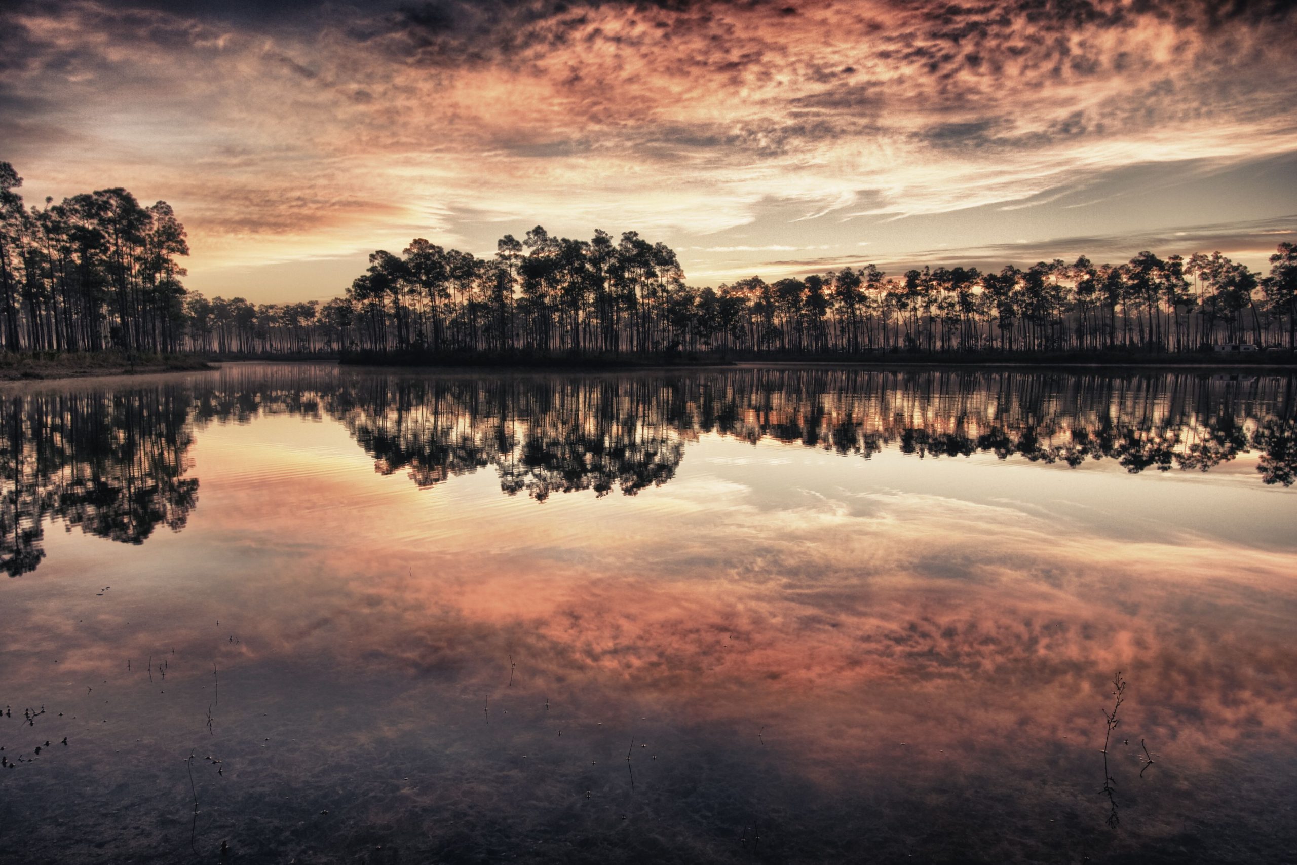 ツアーガイドは、このフロリダ国立公園はあなたが思っているよりも危険だと言います