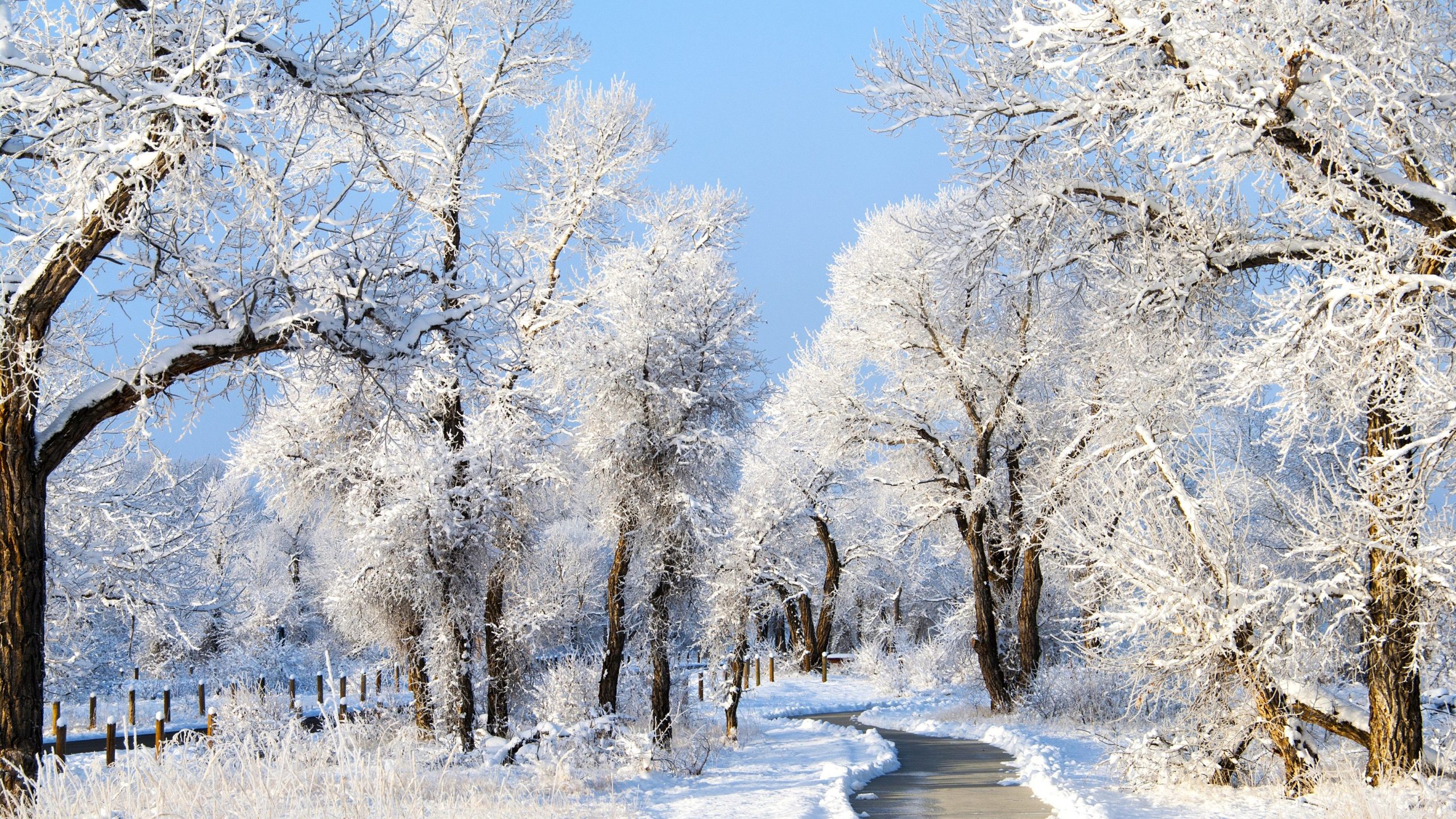 イエローストーンを忘れる：代わりに訪れるために7つの過小評価されているワイオミング州立公園