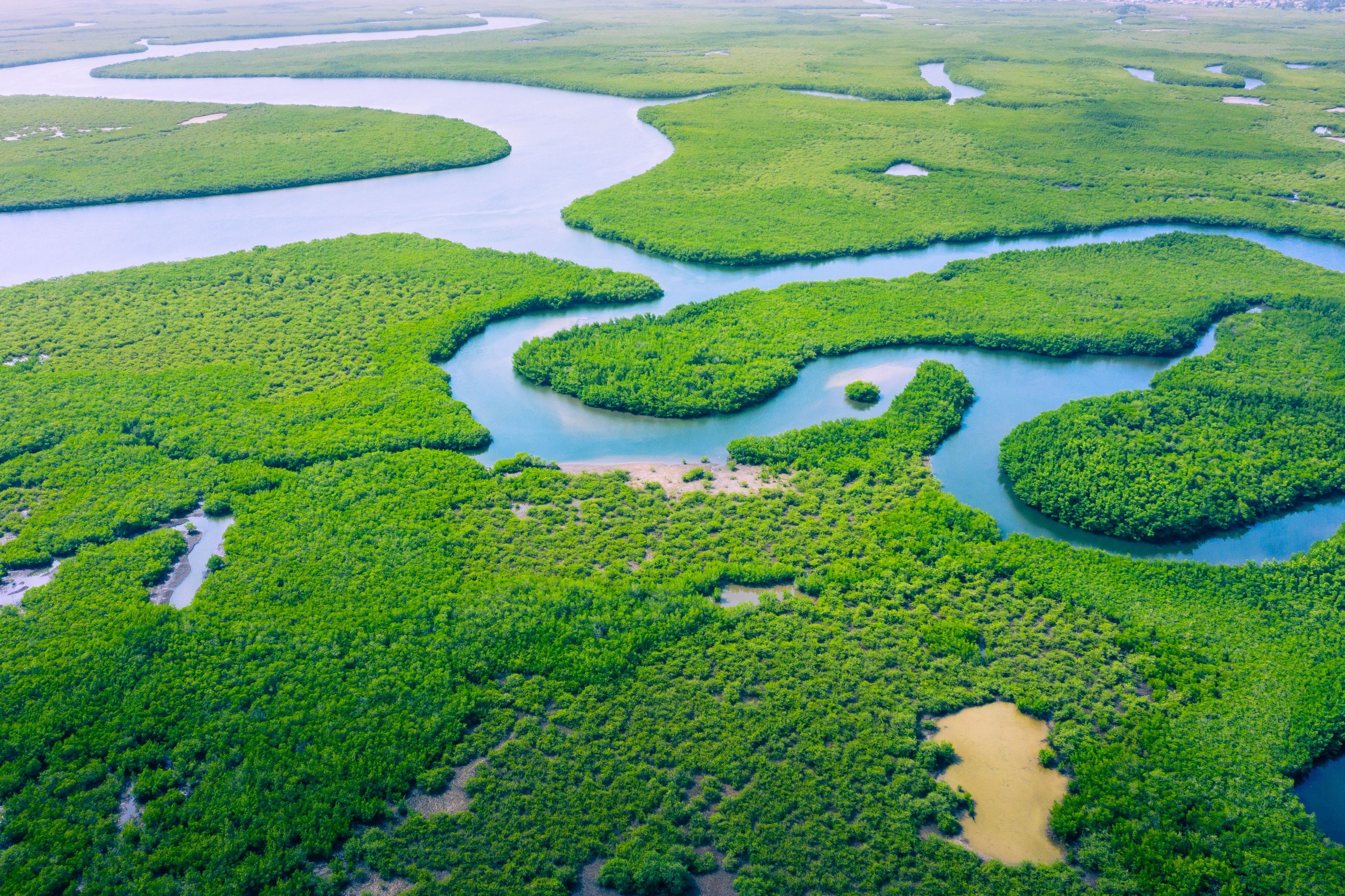 考古学者は、アマゾンで「失われた都市」を見つけることにショックを受けました