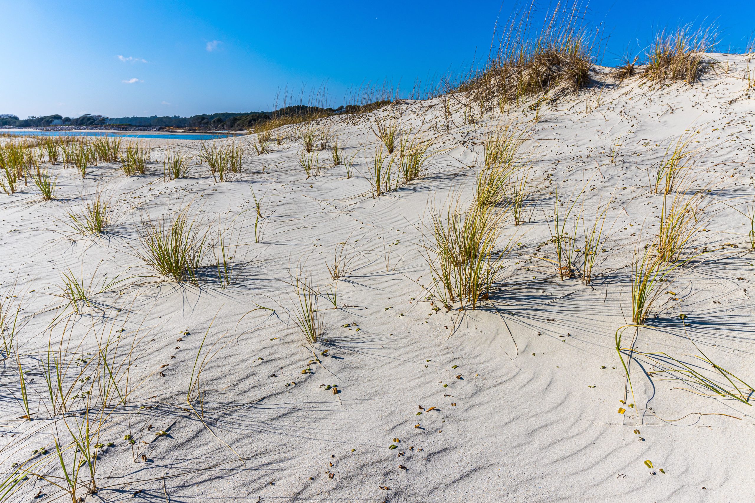 アウターバンクのように、しかし内向的な人にとって：この過小評価されているサウスカロライナ島は静かな春のブレーカーのためです