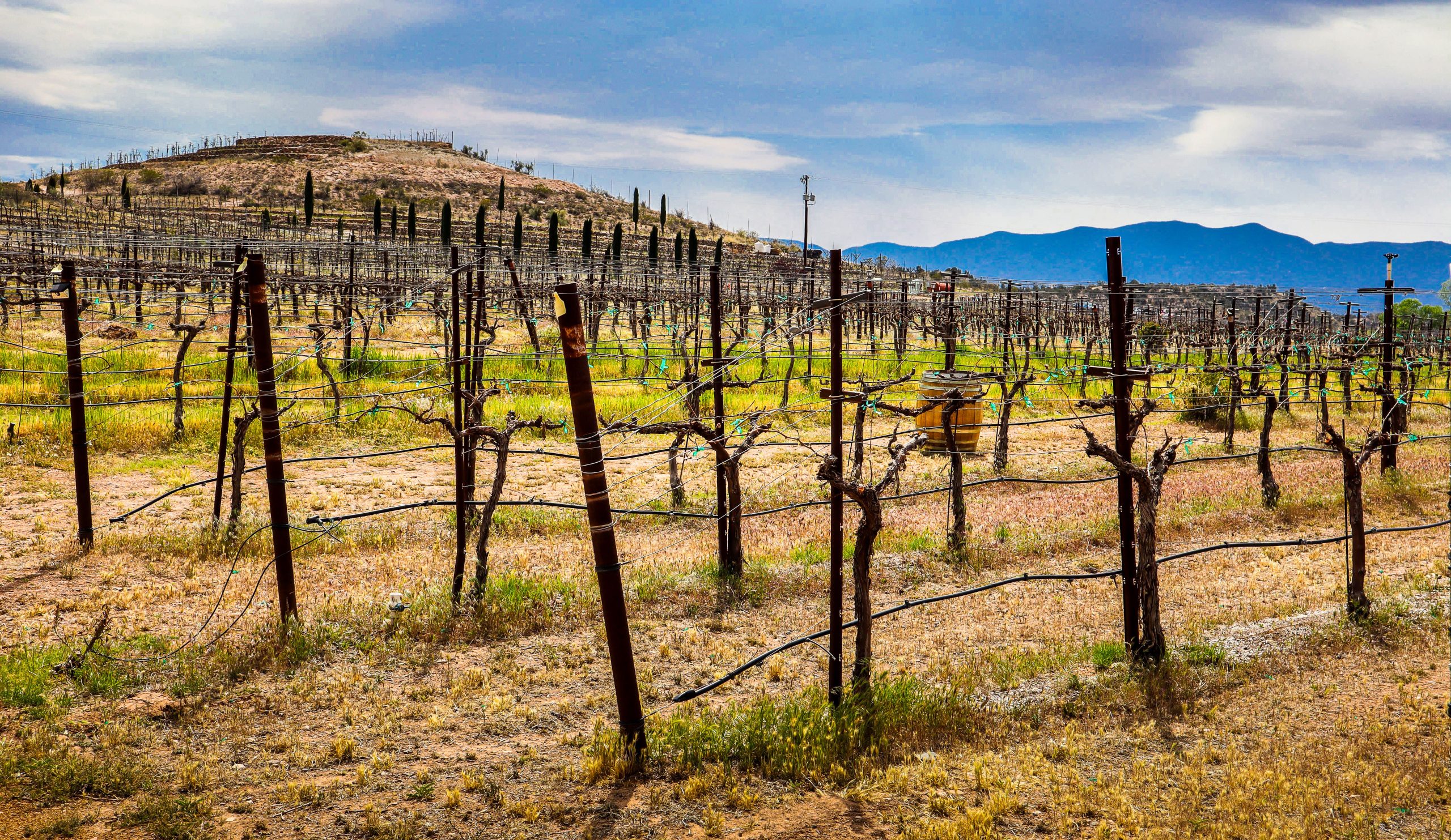 アリゾナの「ナパバレー」は、ユニークな理由のためにカリフォルニアの最も過小評価されているバージョンです