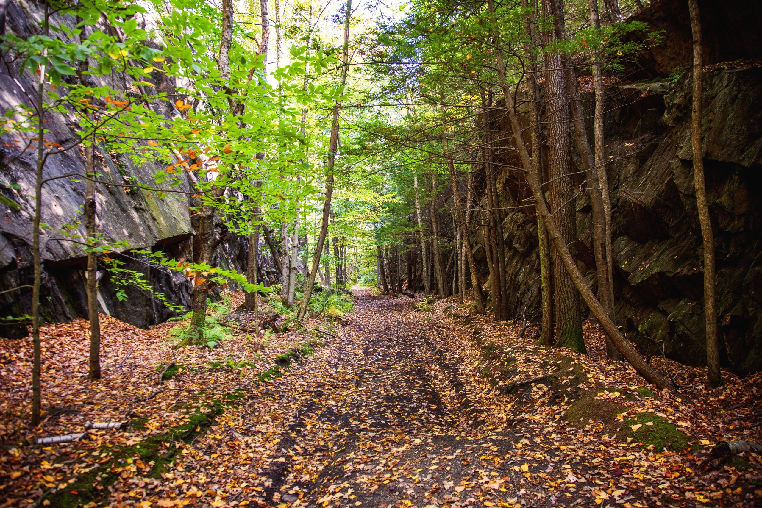 この危険なマサチューセッツは、「悪魔によって作られた」と不気味な伝承に浸されているのではないかと思います