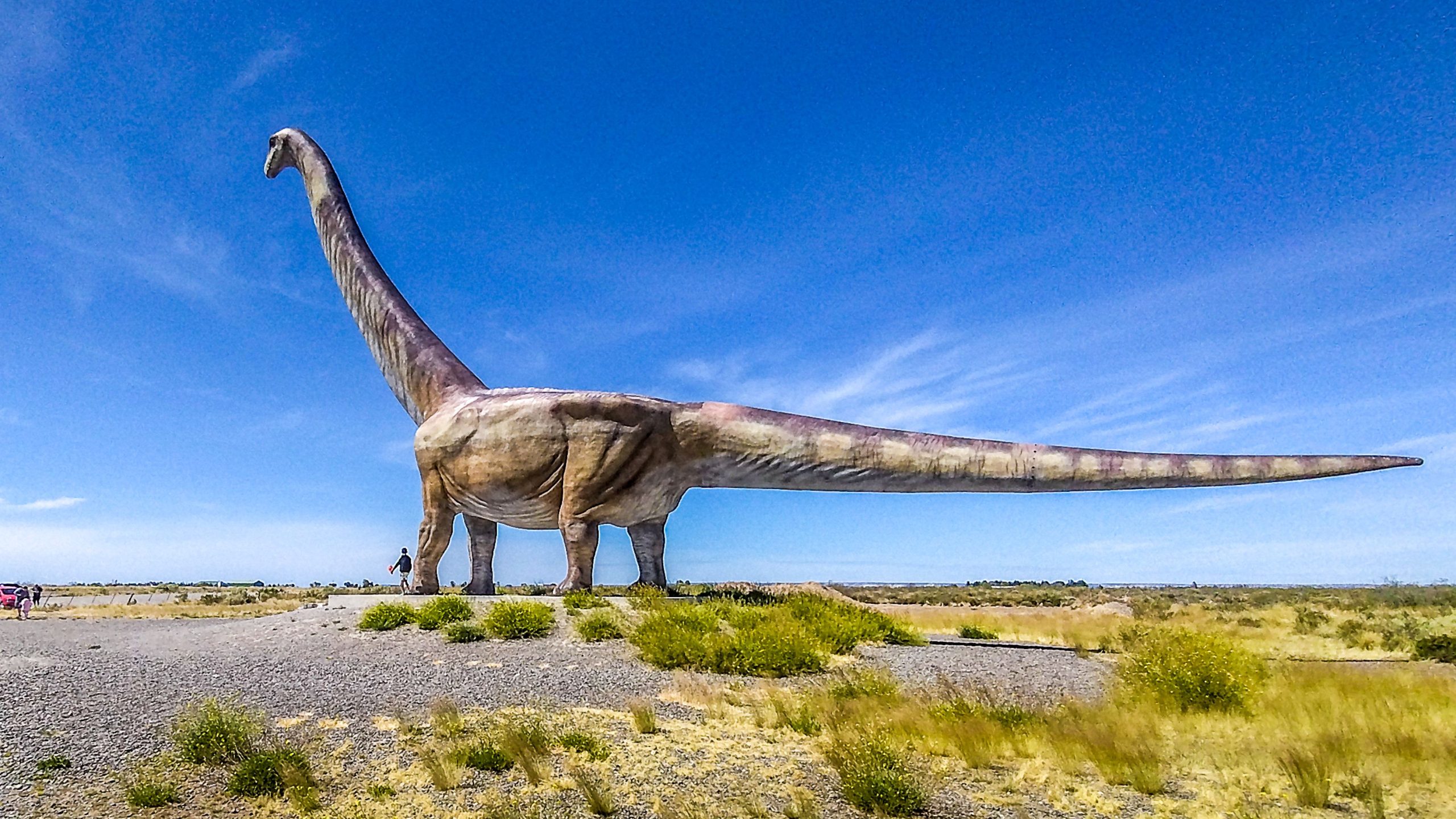 科学者は、7800万年前に「穏やかな巨人」だった新しい恐竜種を発見します