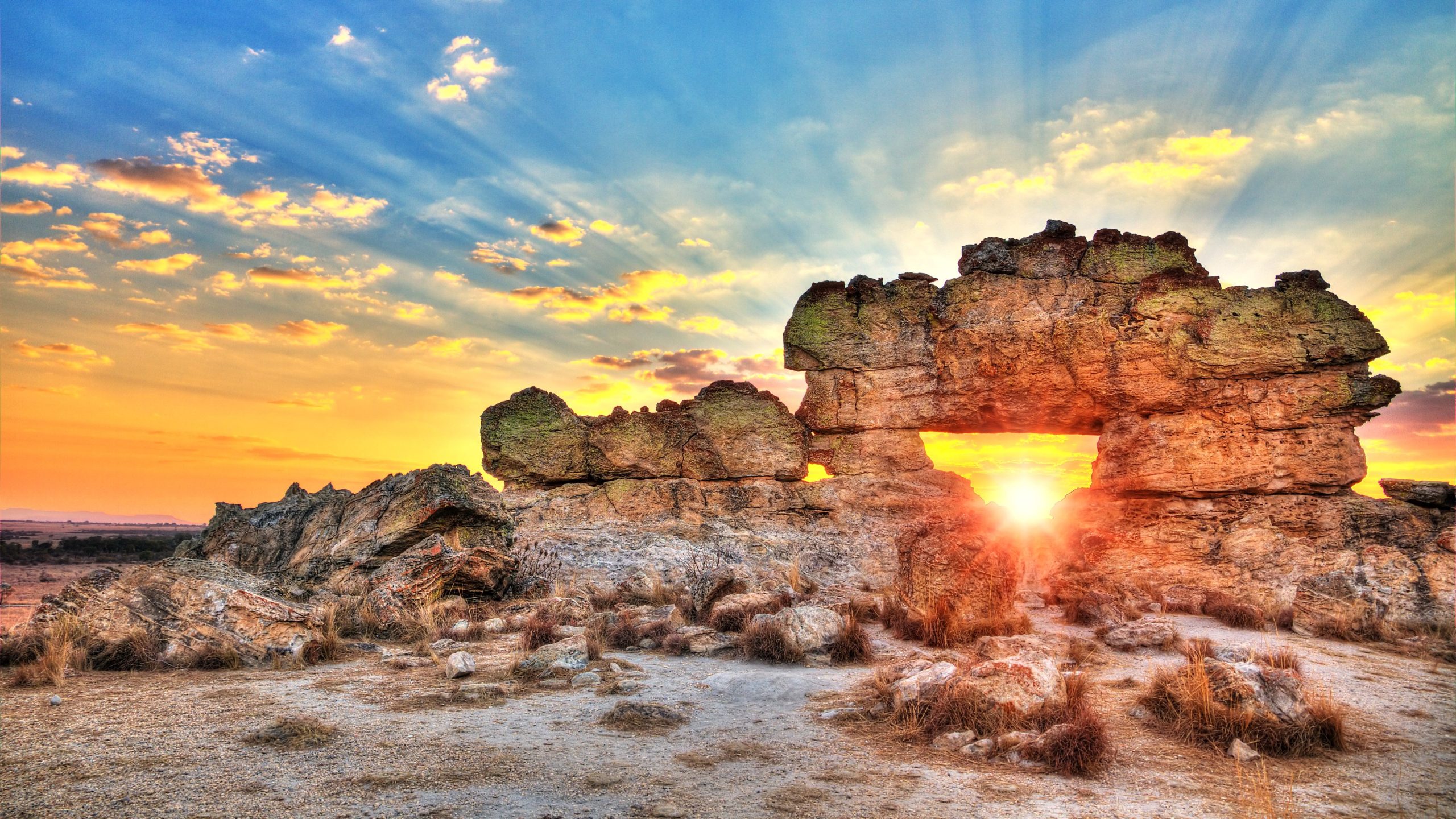誰がこの国立公園の岩にニッチを切ったかの謎