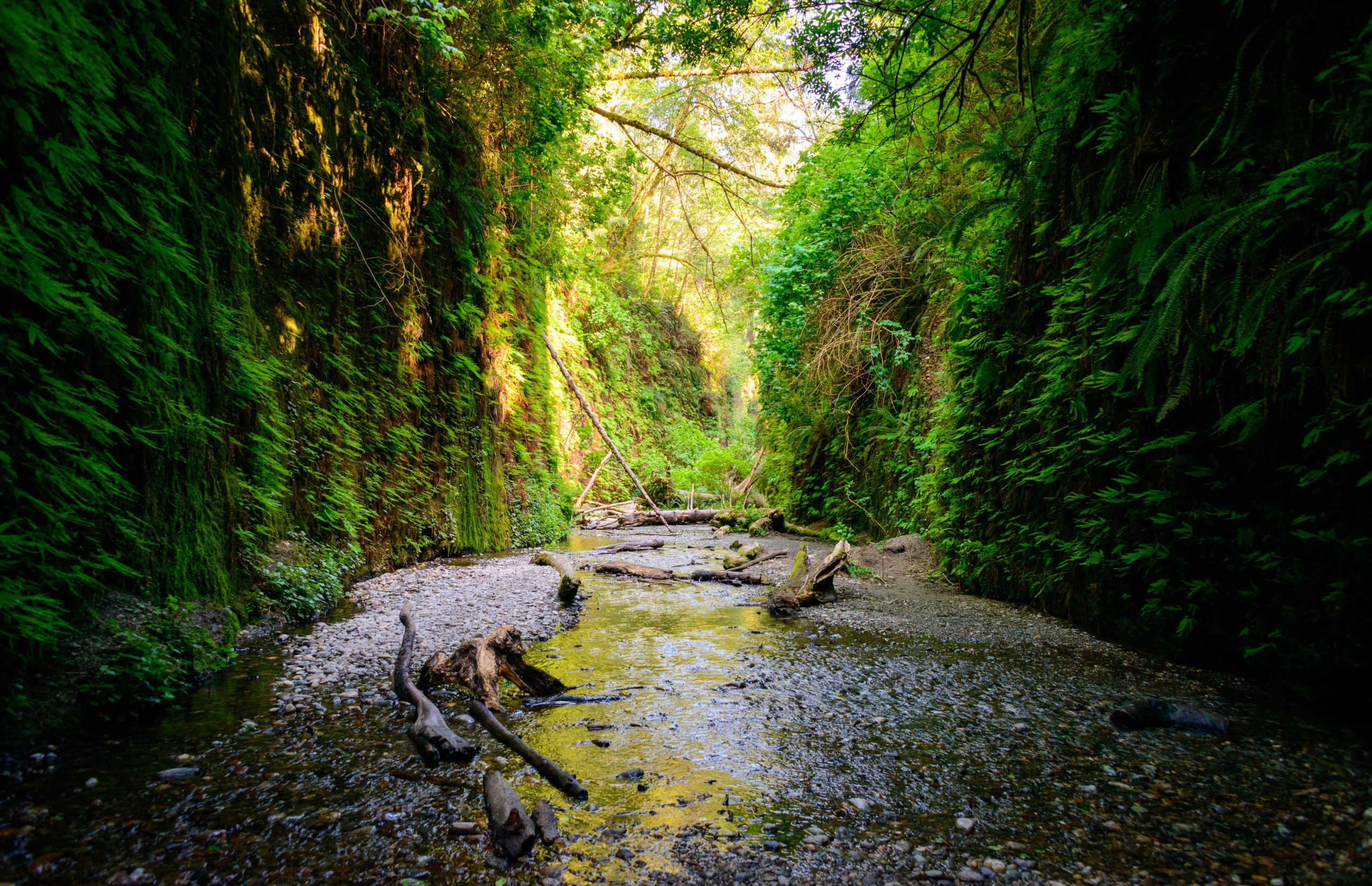 これらの6つのカリフォルニア国立公園は2025バケットリストに載る必要があります