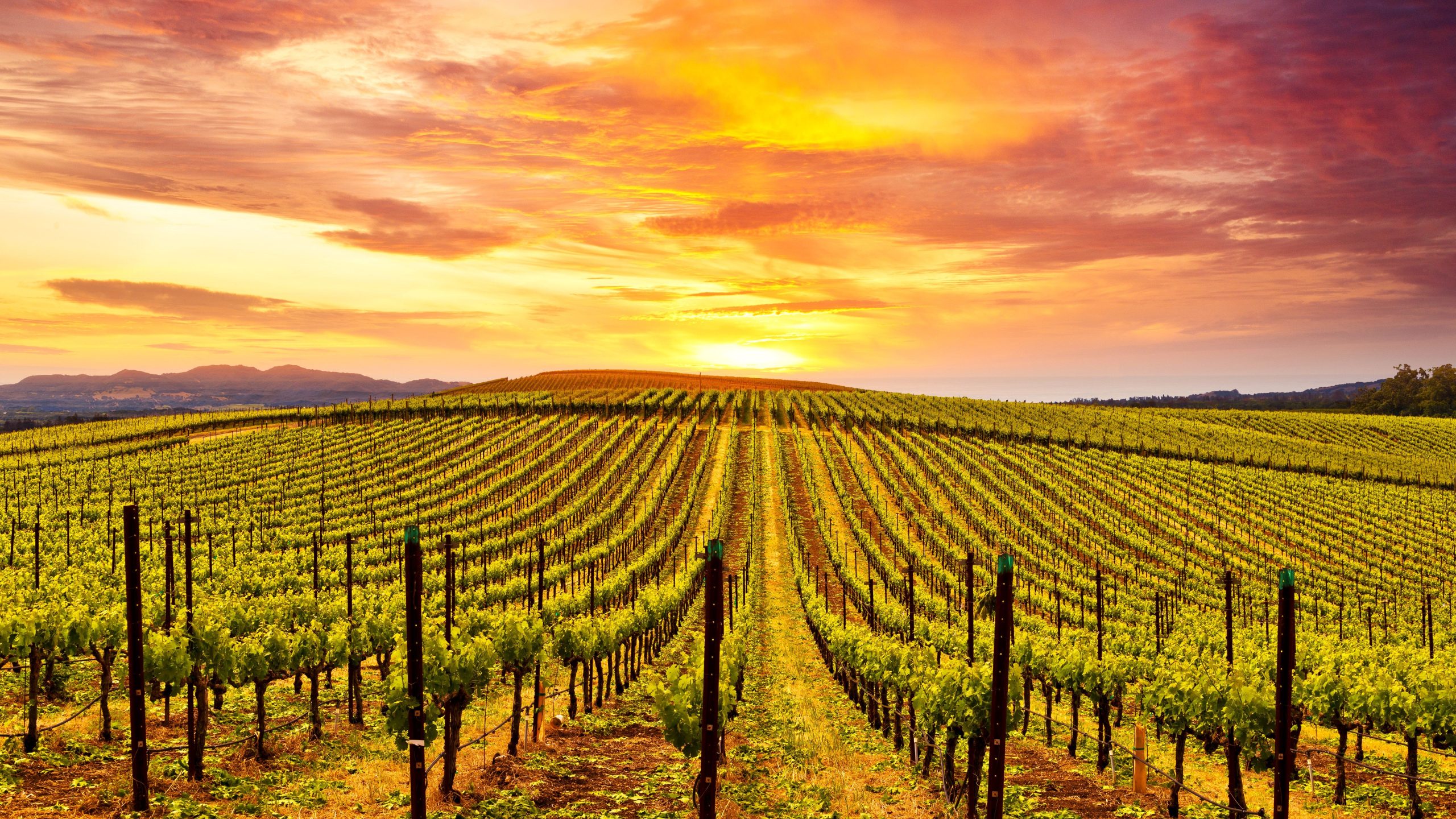 「カリフォルニアの地中海」は、アメリカで引退するのに最適な町の1つです