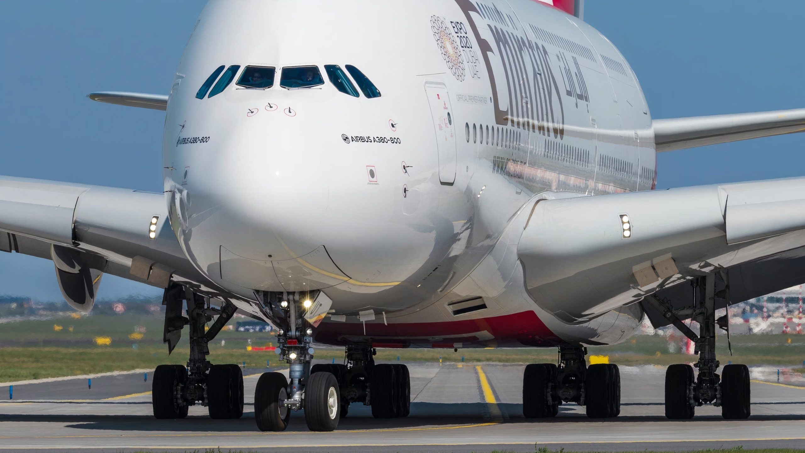 エミレーツはロバのスキンの人身売買との戦いを取り上げます：毎年600万人が死亡しました